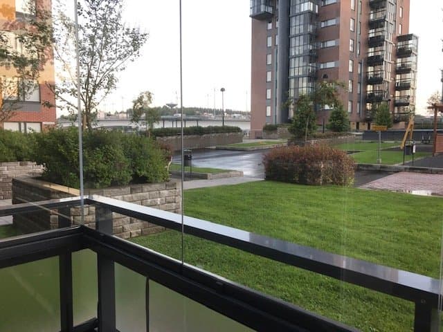 Jontikka i Jyväskylä