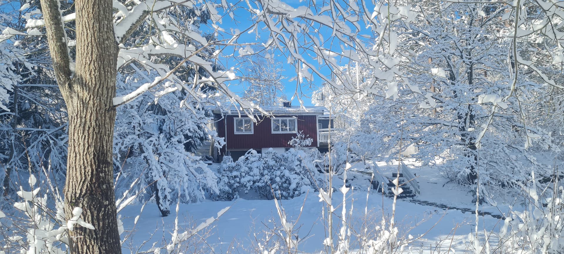 Tussilagovägen i Gråbo