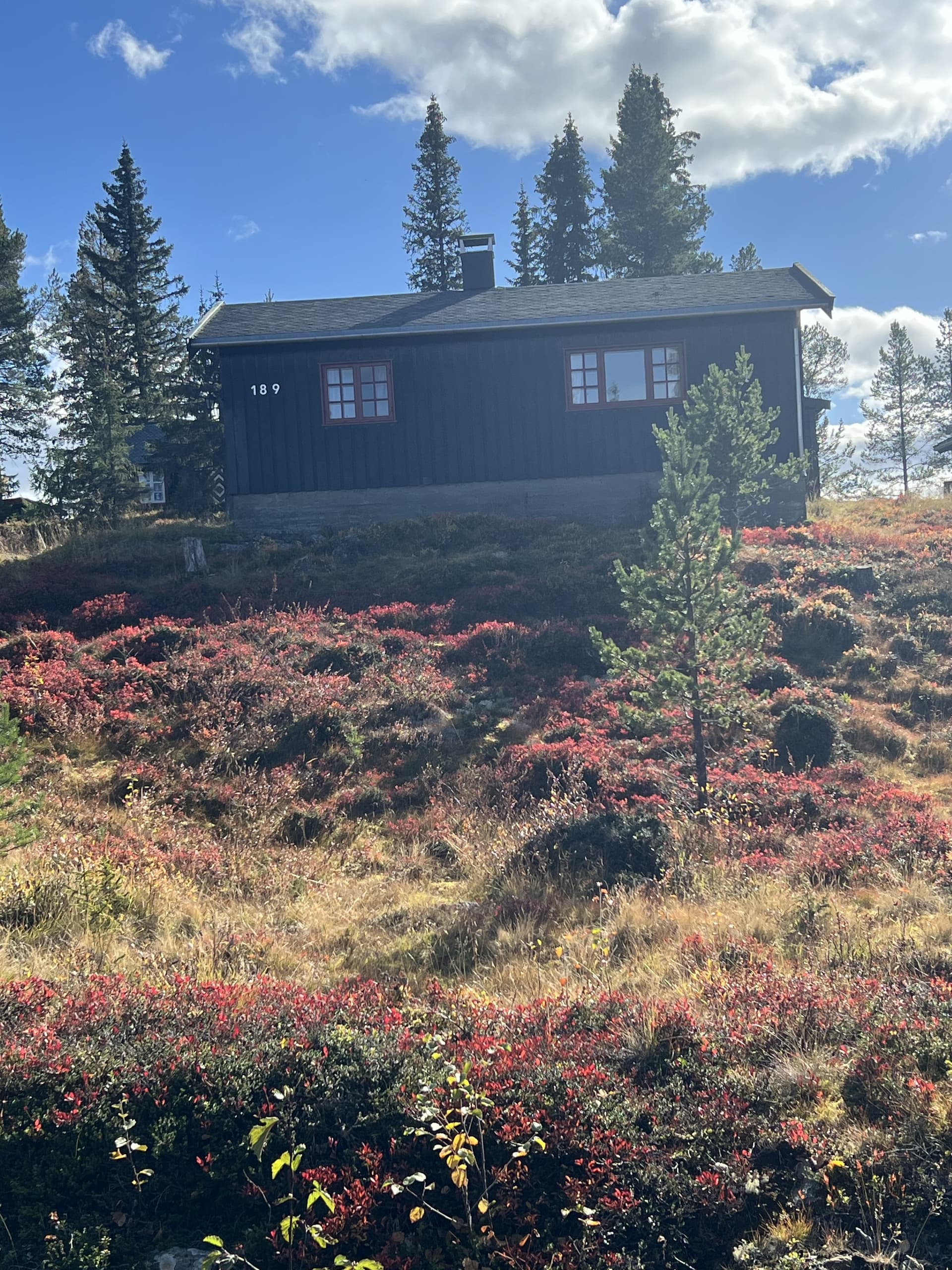 Tunnetjernvegen i Gol