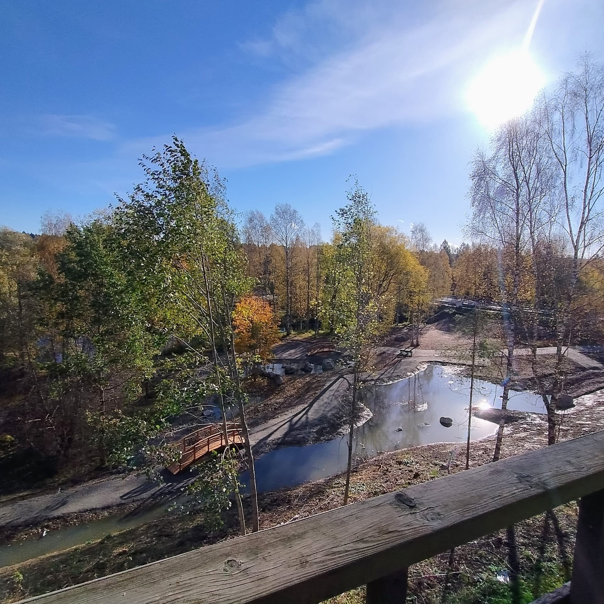 Viinikanrinne i Parkano