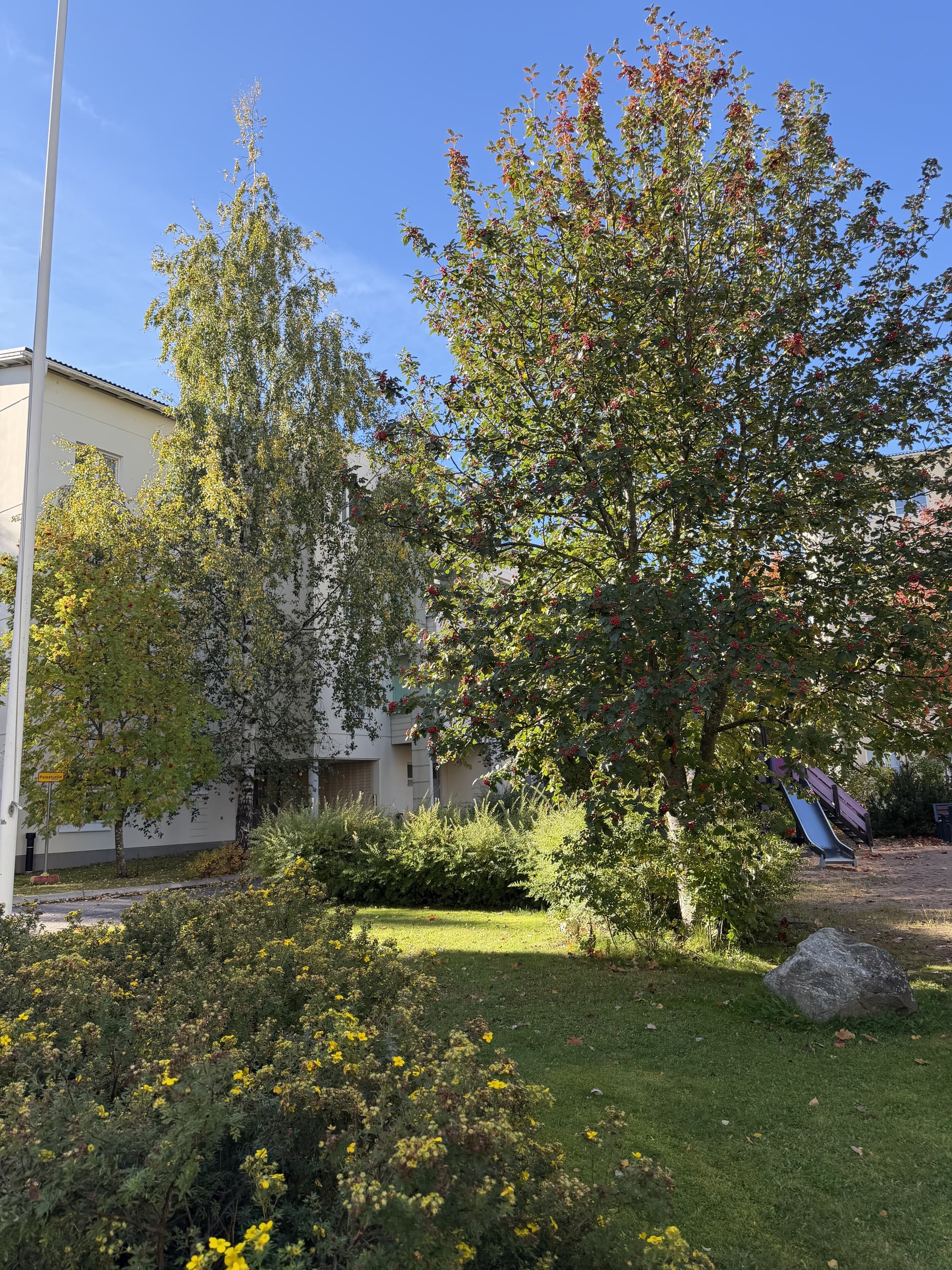 Siirtolapuutarhankatu i Tampere