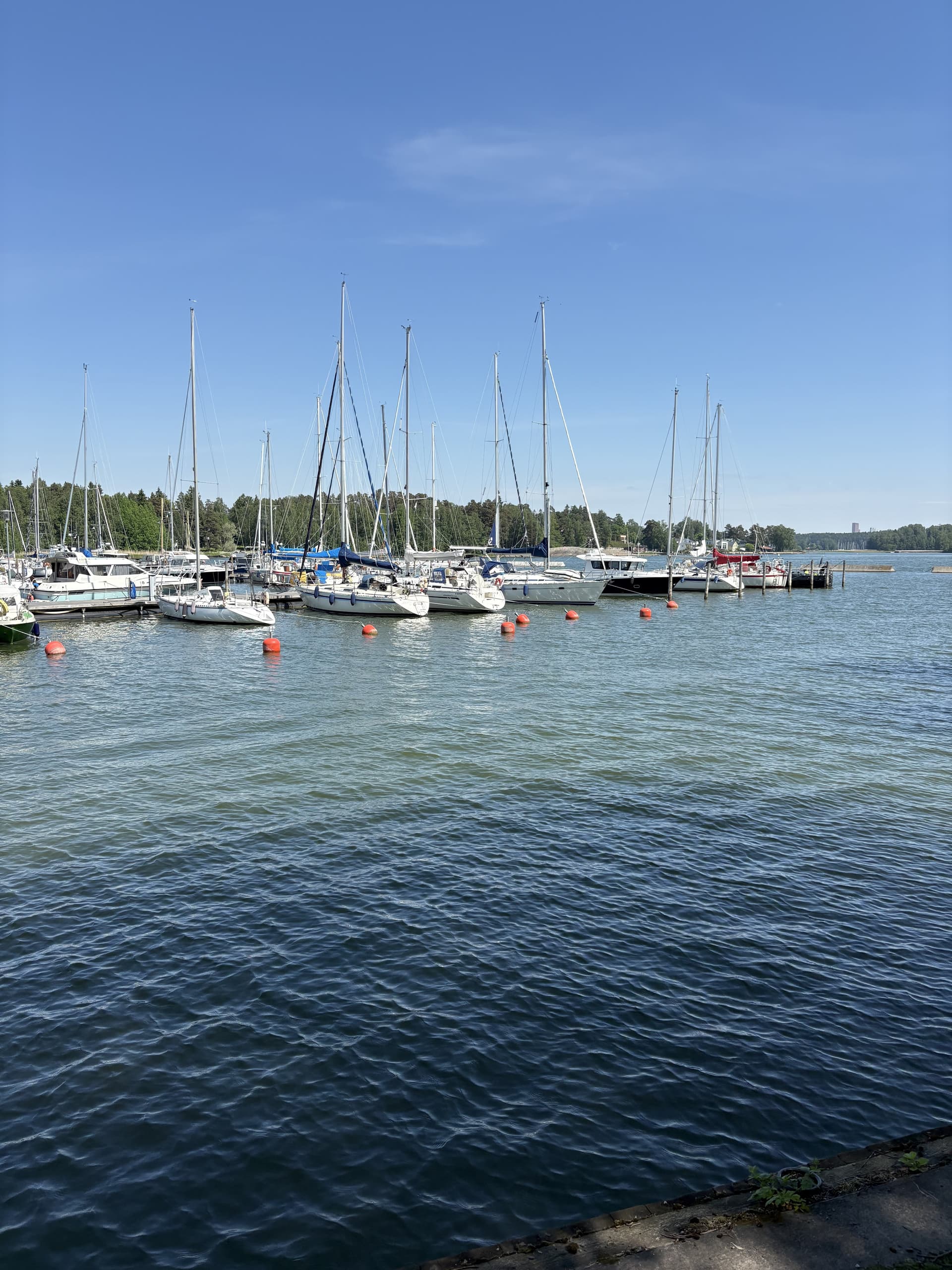 Ruonasalmentie i Helsinki