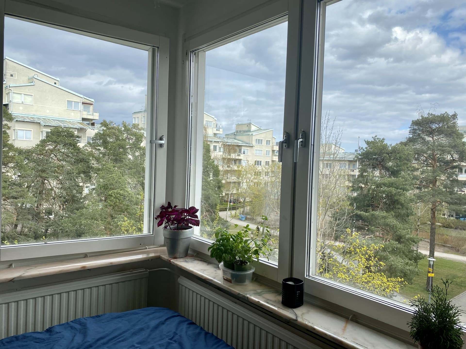 Dovregatan i Kista
