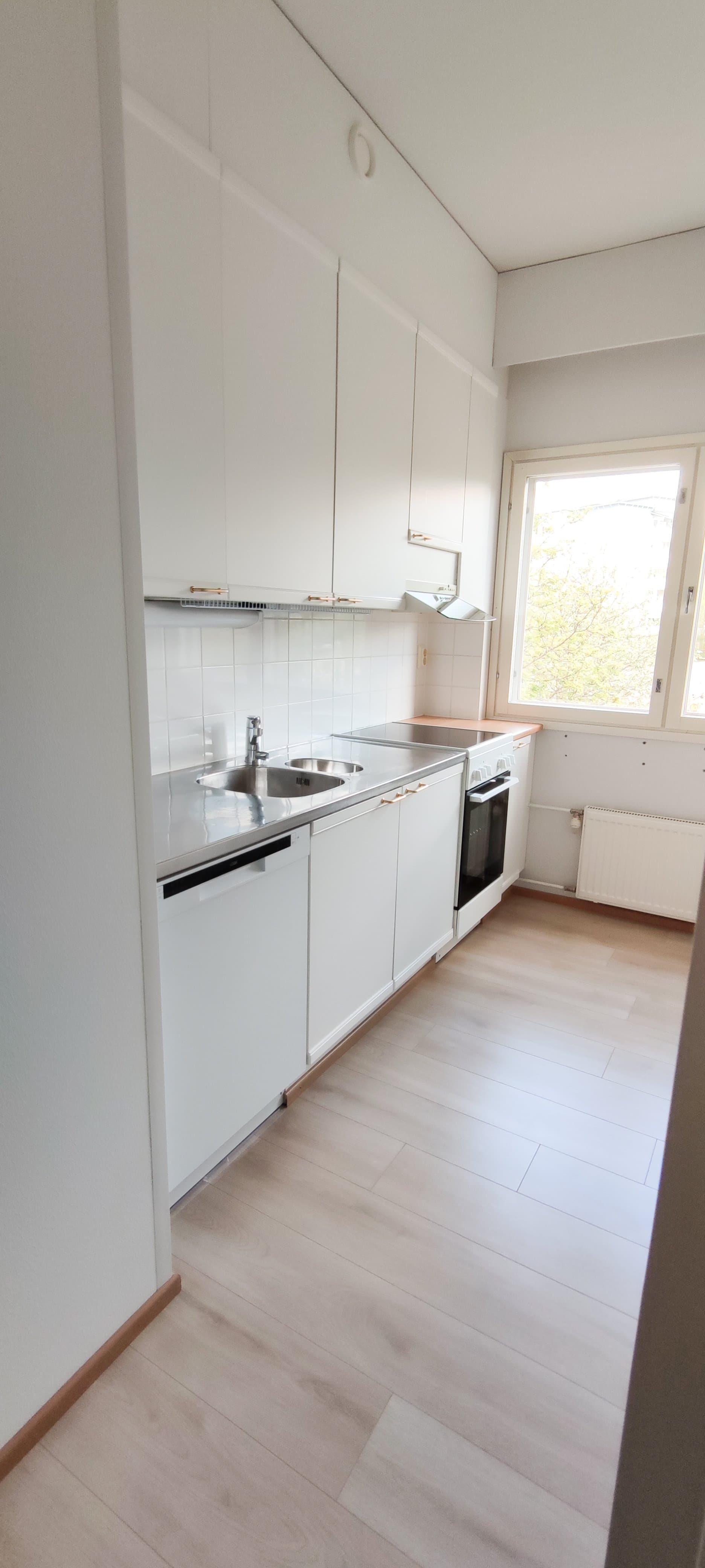 Hauenkoukku i Kuopio