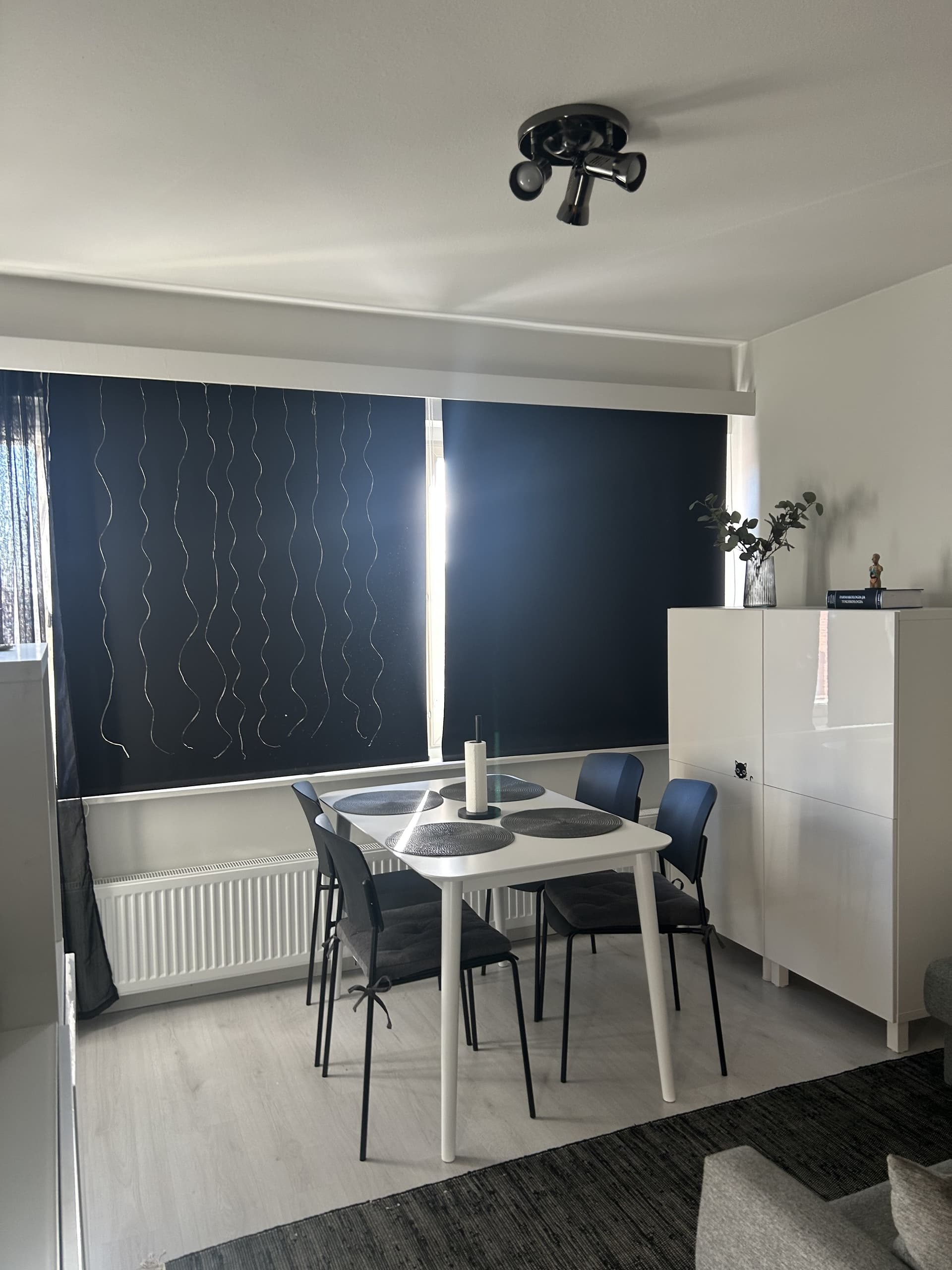 Minna Canthin katu i Kuopio