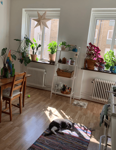 Sofielundsvägen i Malmö