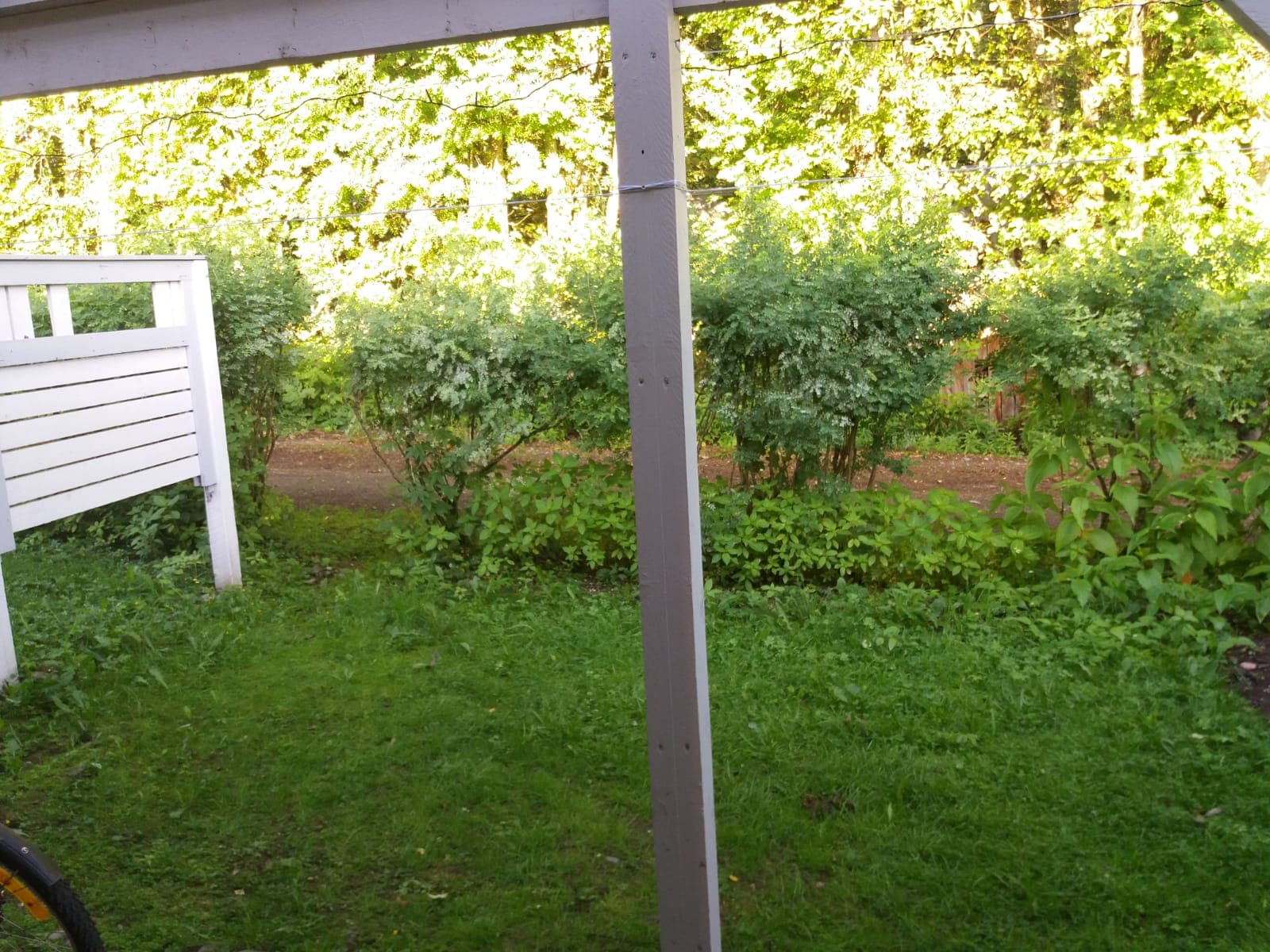 Pihlajatie i Kontiolahti