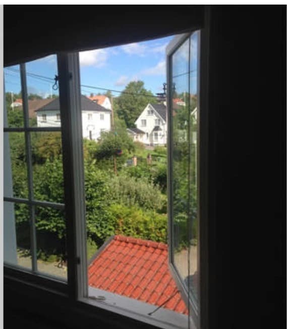 Lille Borgen vei