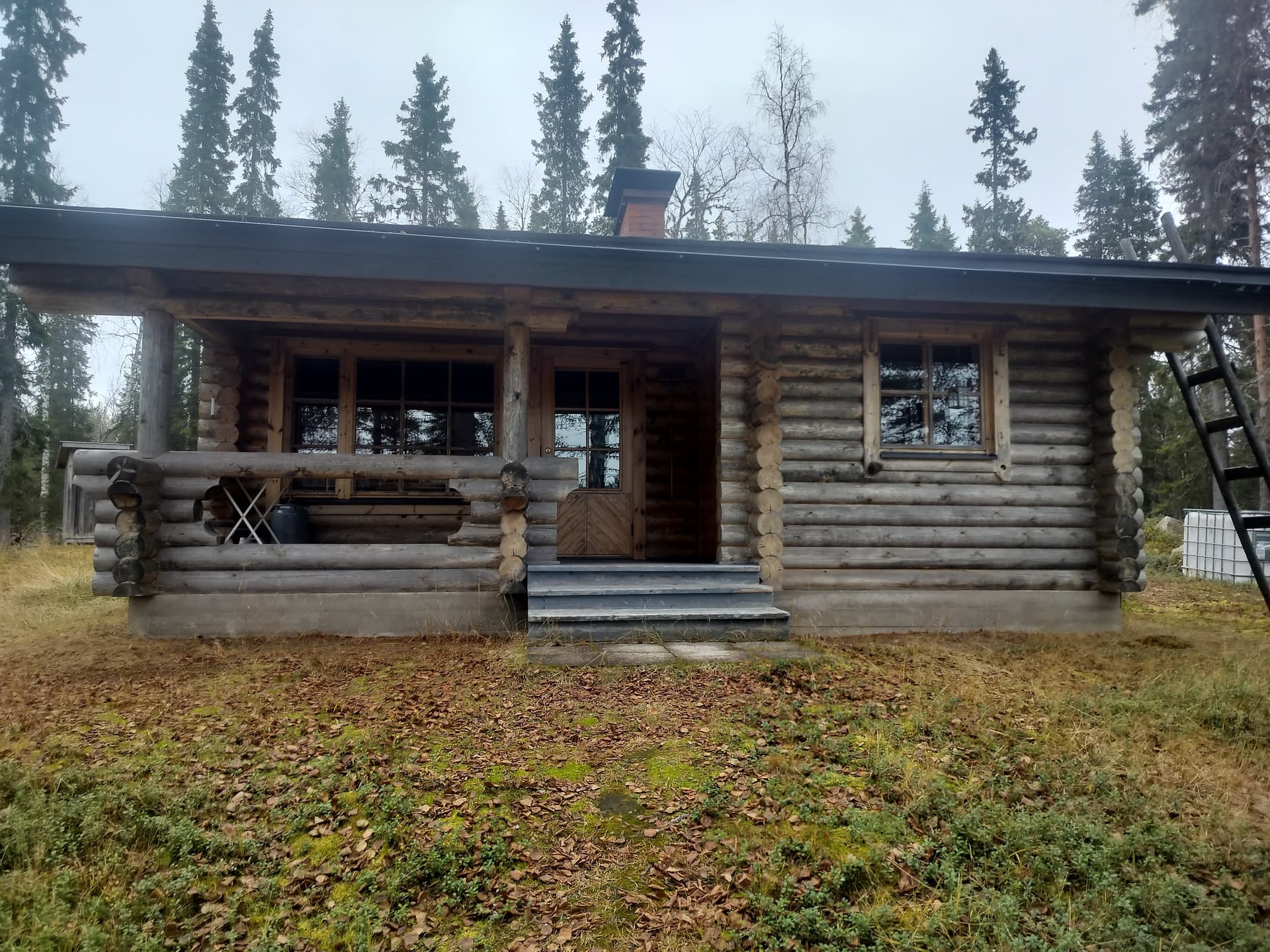 Niesintie i Rovaniemi