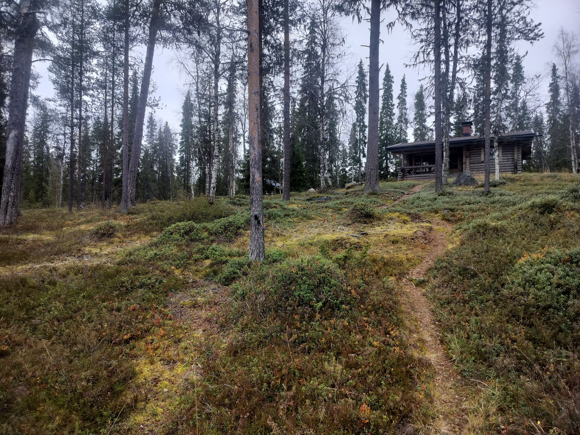Niesintie i Rovaniemi