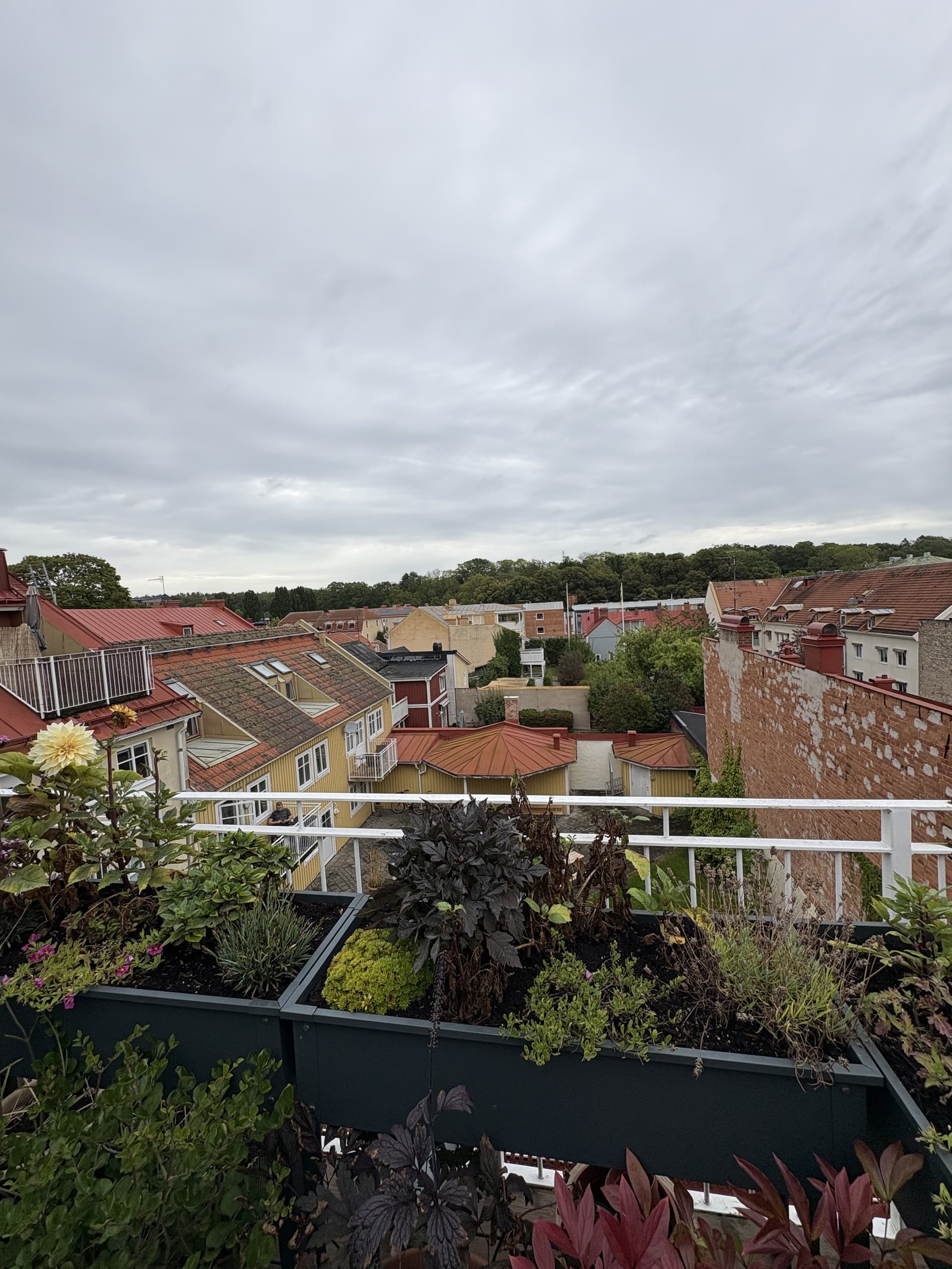 Regeringsgatan i Karlshamn