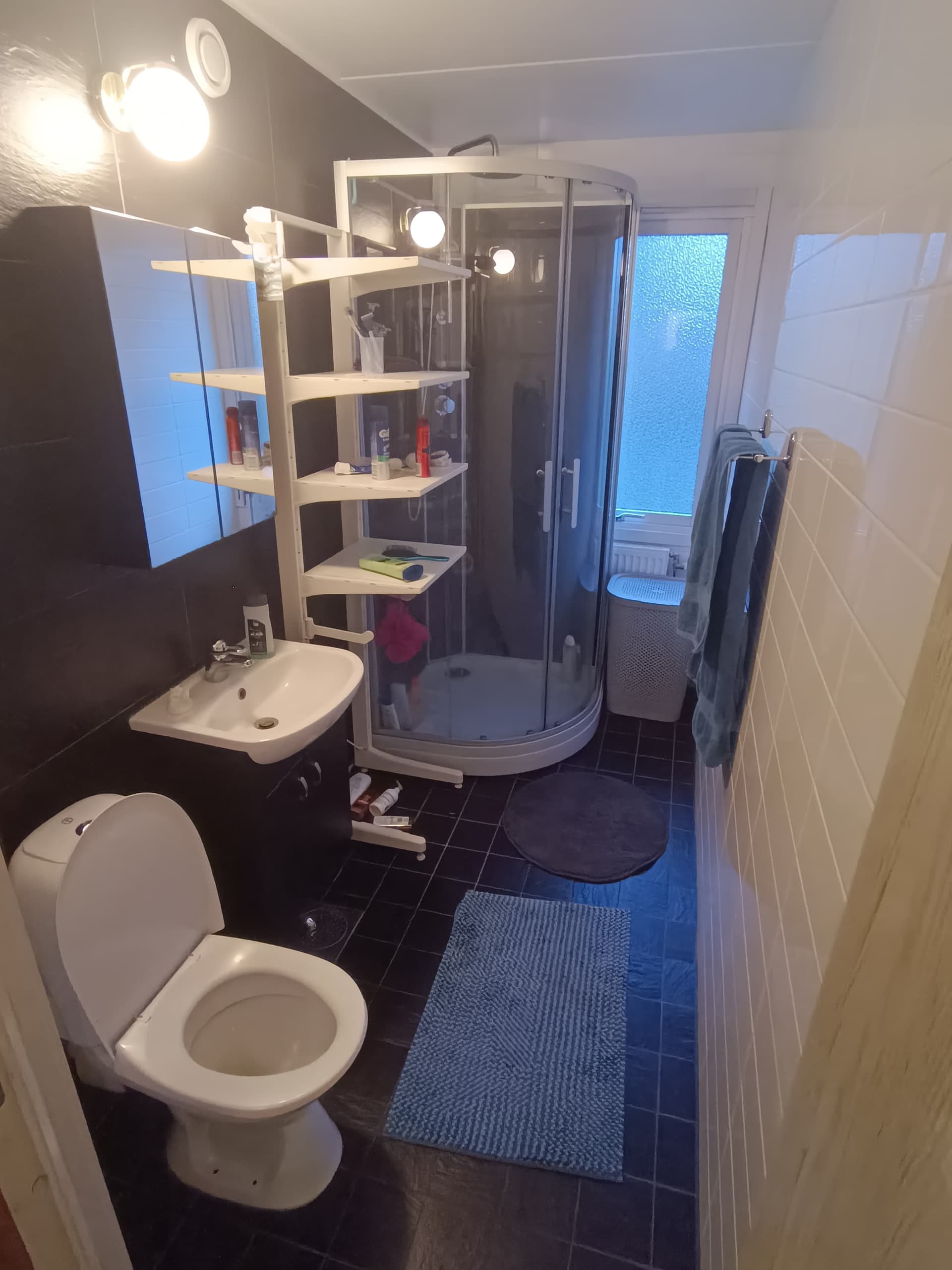 Tulpangatan i Malmö