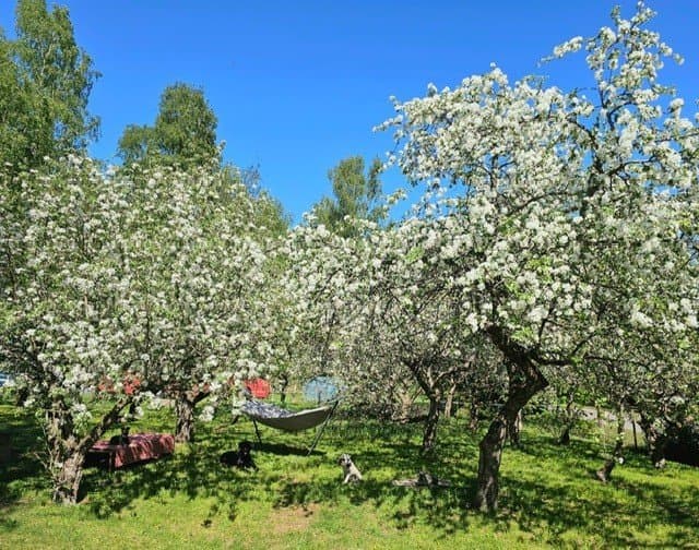 Kirkkotie i Lohja