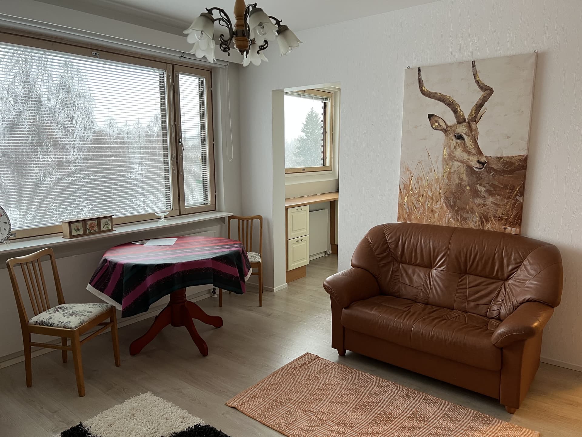 Väinämönkatu i Äänekoski