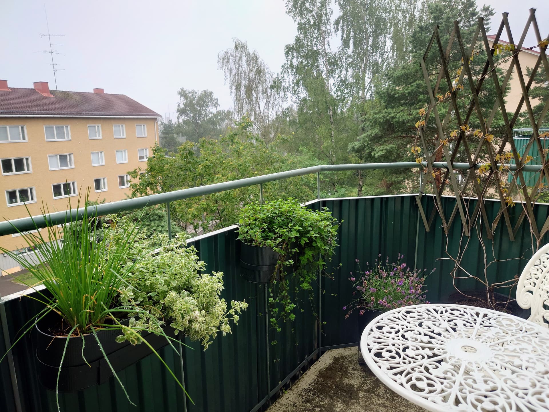 Hiihtomäentie i Helsinki
