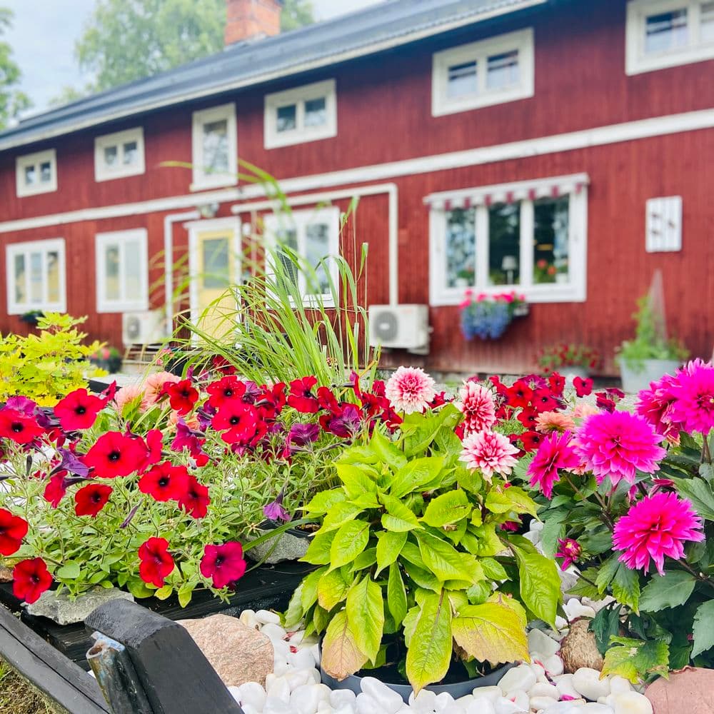 Haggatan i Fors
