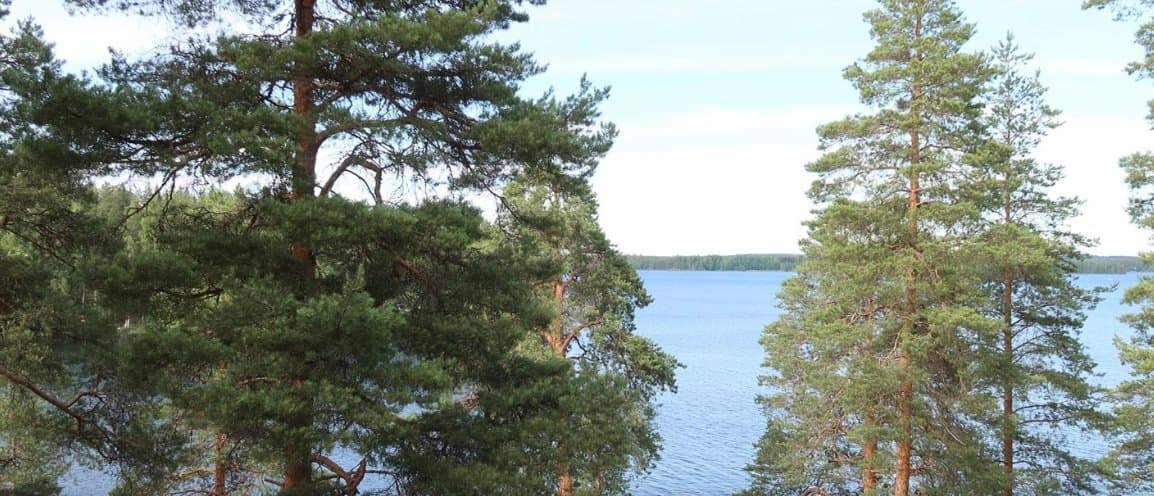 Haapavedentie i Savonlinna