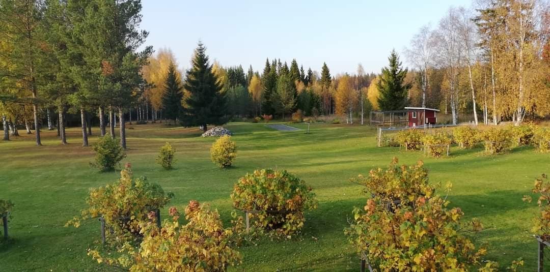 FURULUND i Östersund
