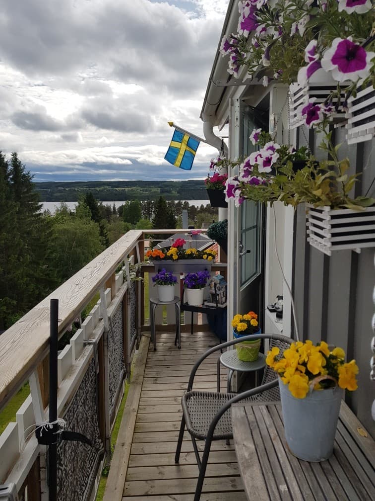 Nedre Andalsvägen i Östersund
