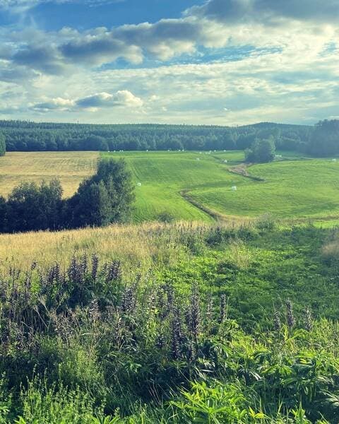 Brännås i Bjuråker