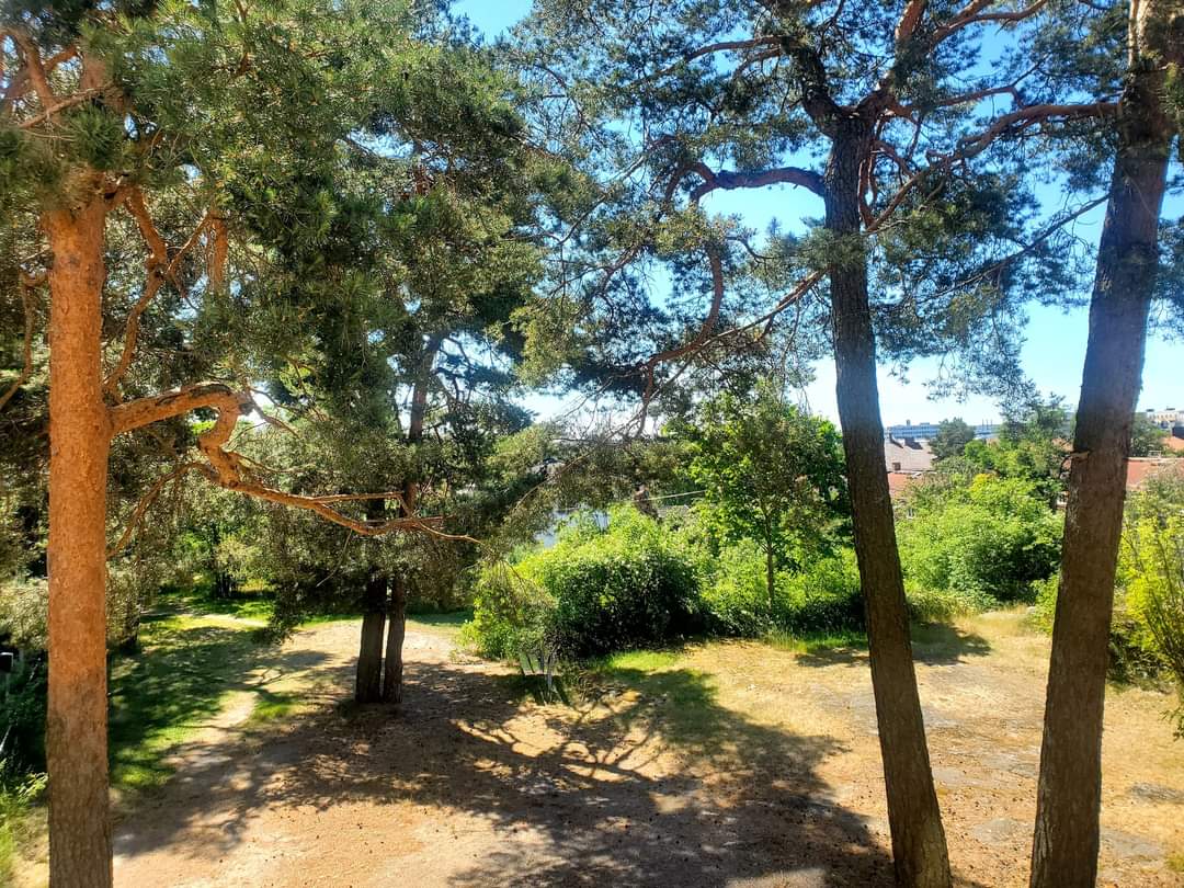Bergstigen i Solna