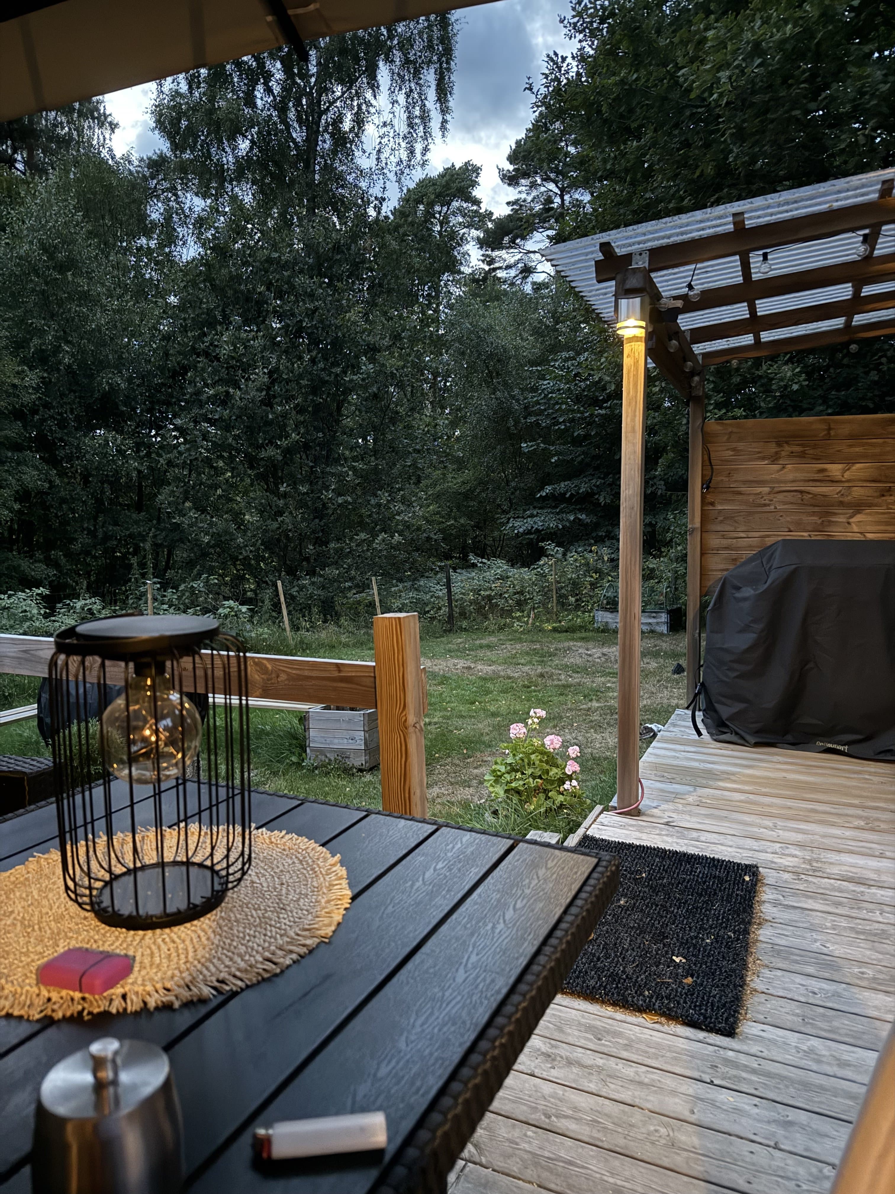 Stora Torsjö i Västra Torup