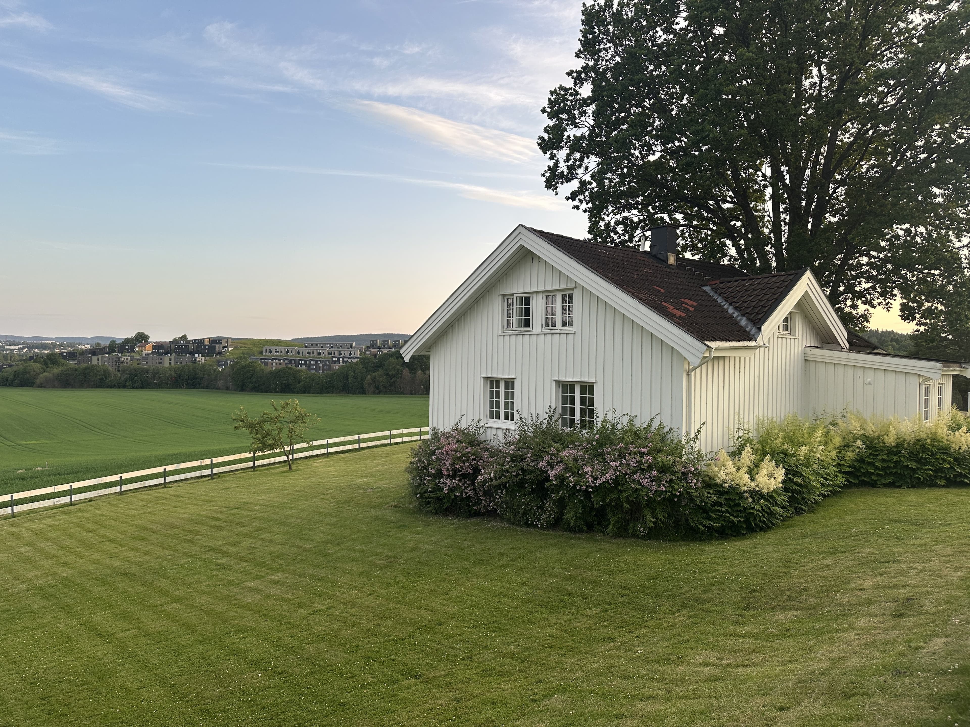 Riisveien i Kjeller