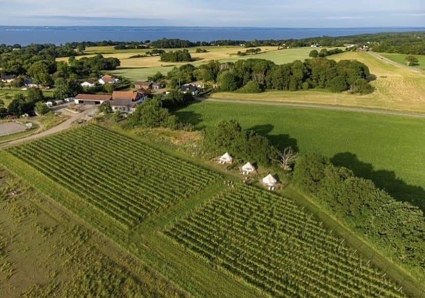 Stora Vägen i Arild