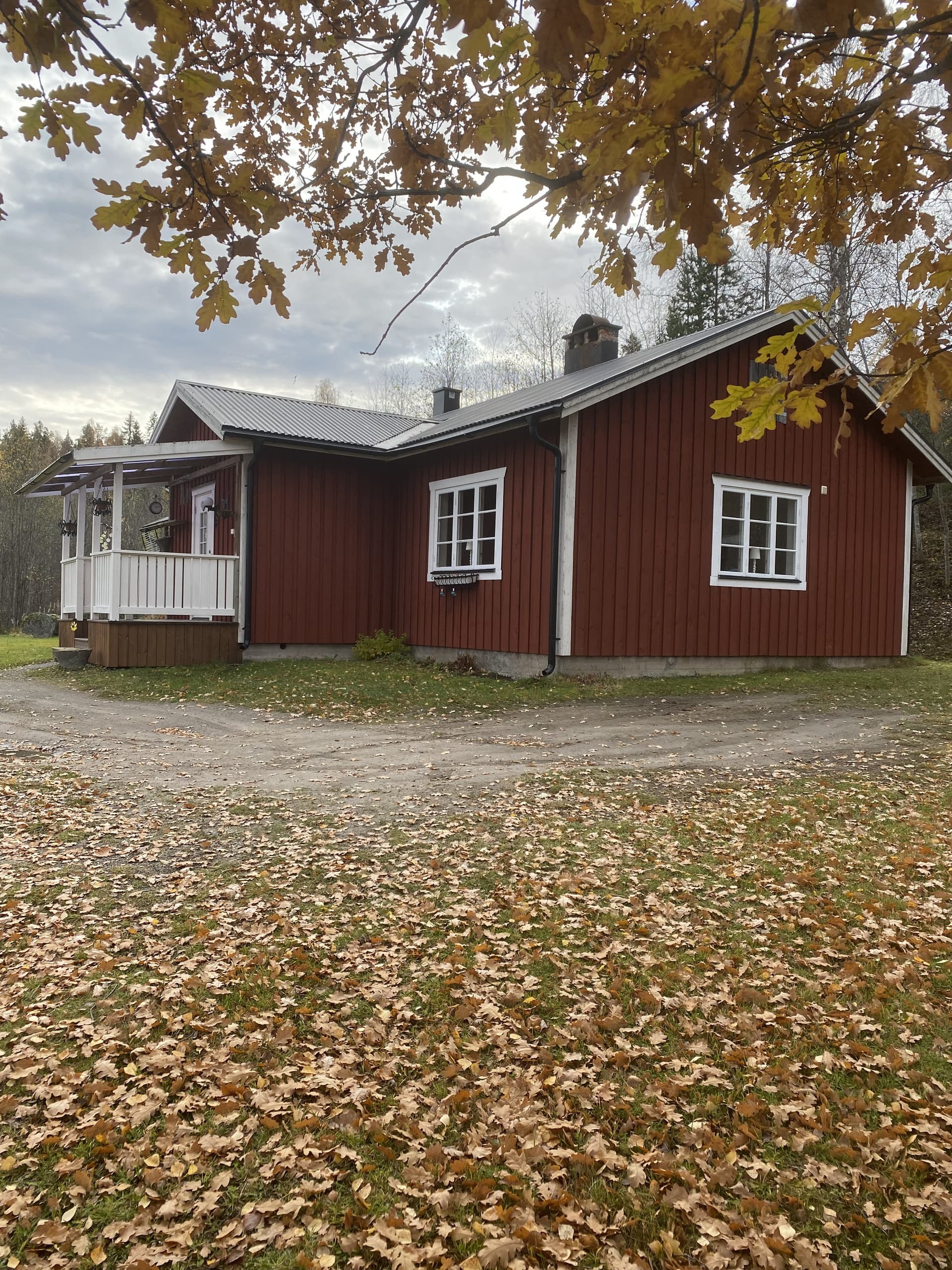 Bussjö i Bollstabruk
