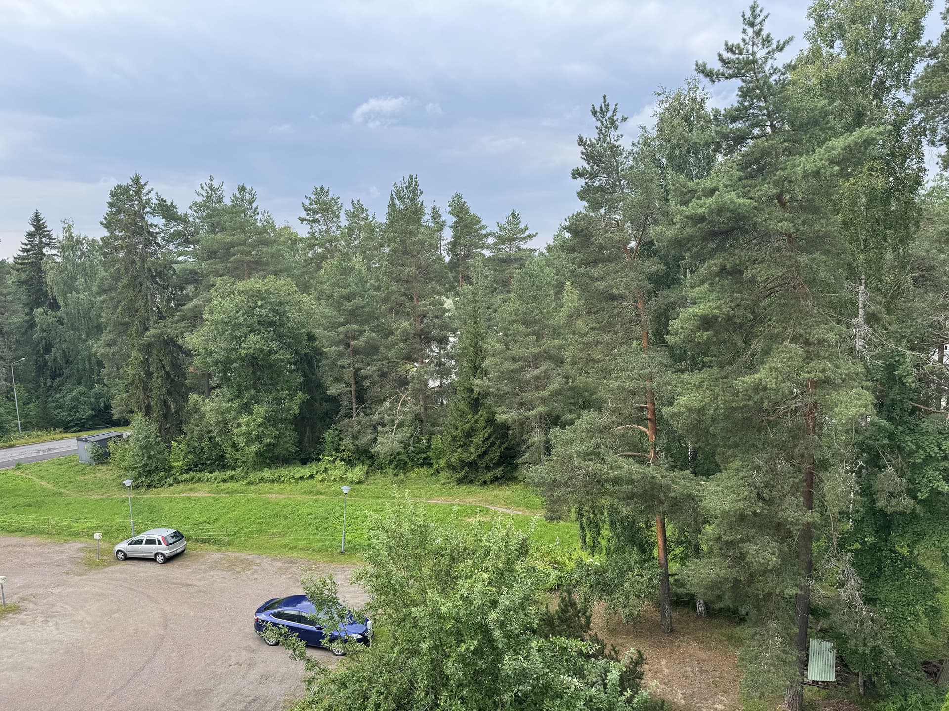 Mäkitervakontie i Lappeenranta