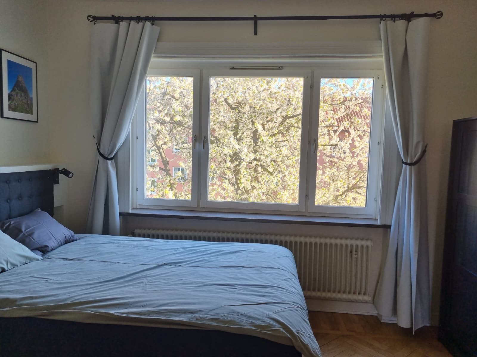Aspgatan i Malmö