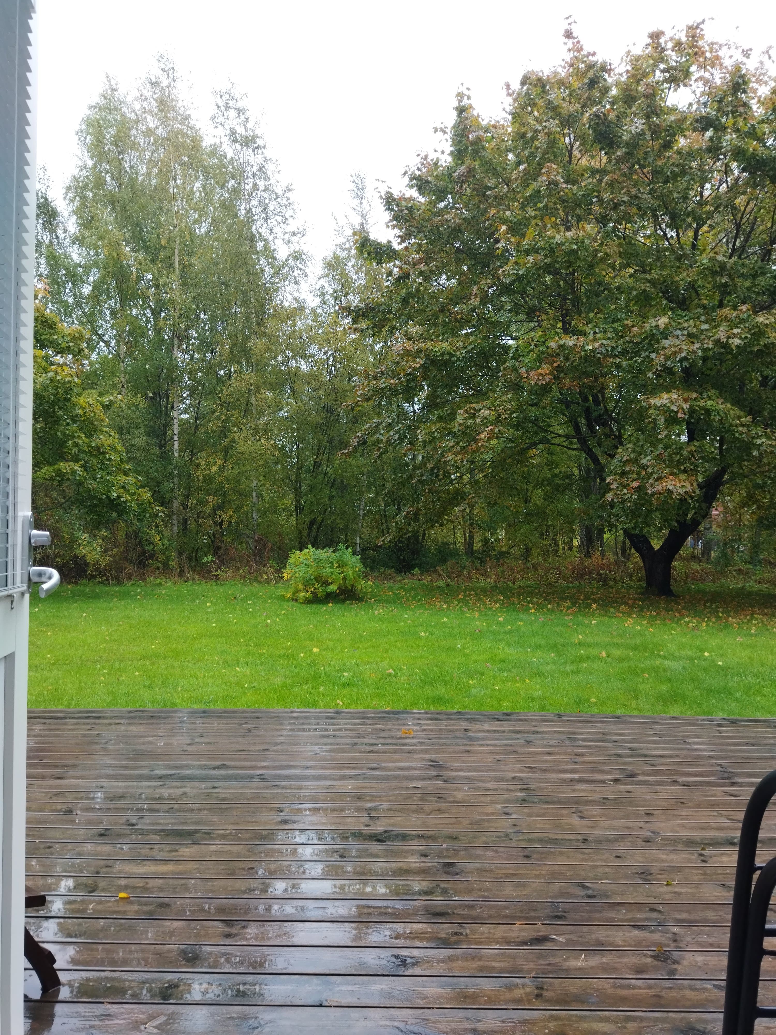 Suotie i Kangasniemi