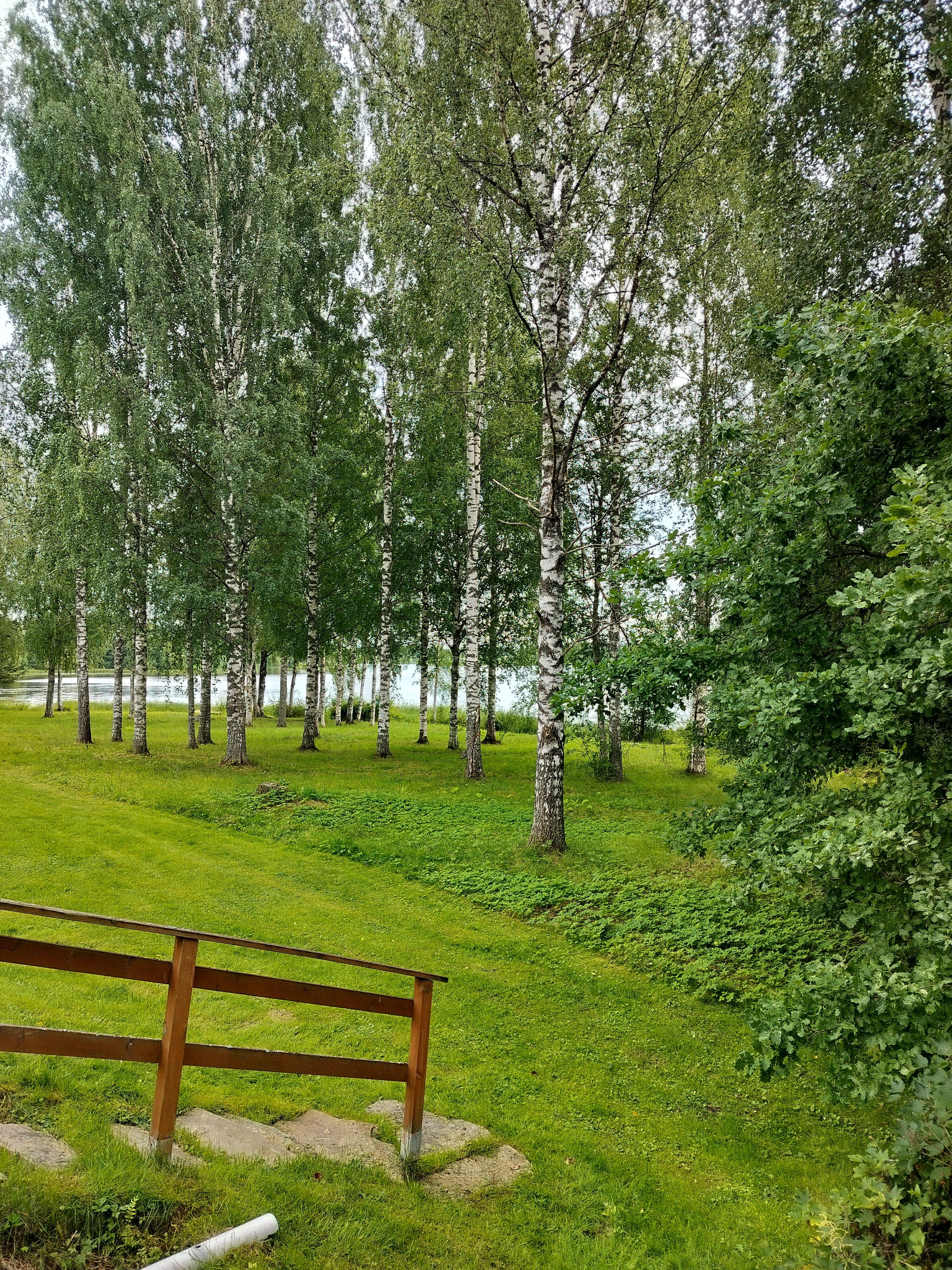 Lusperinkuja i Nilsiä