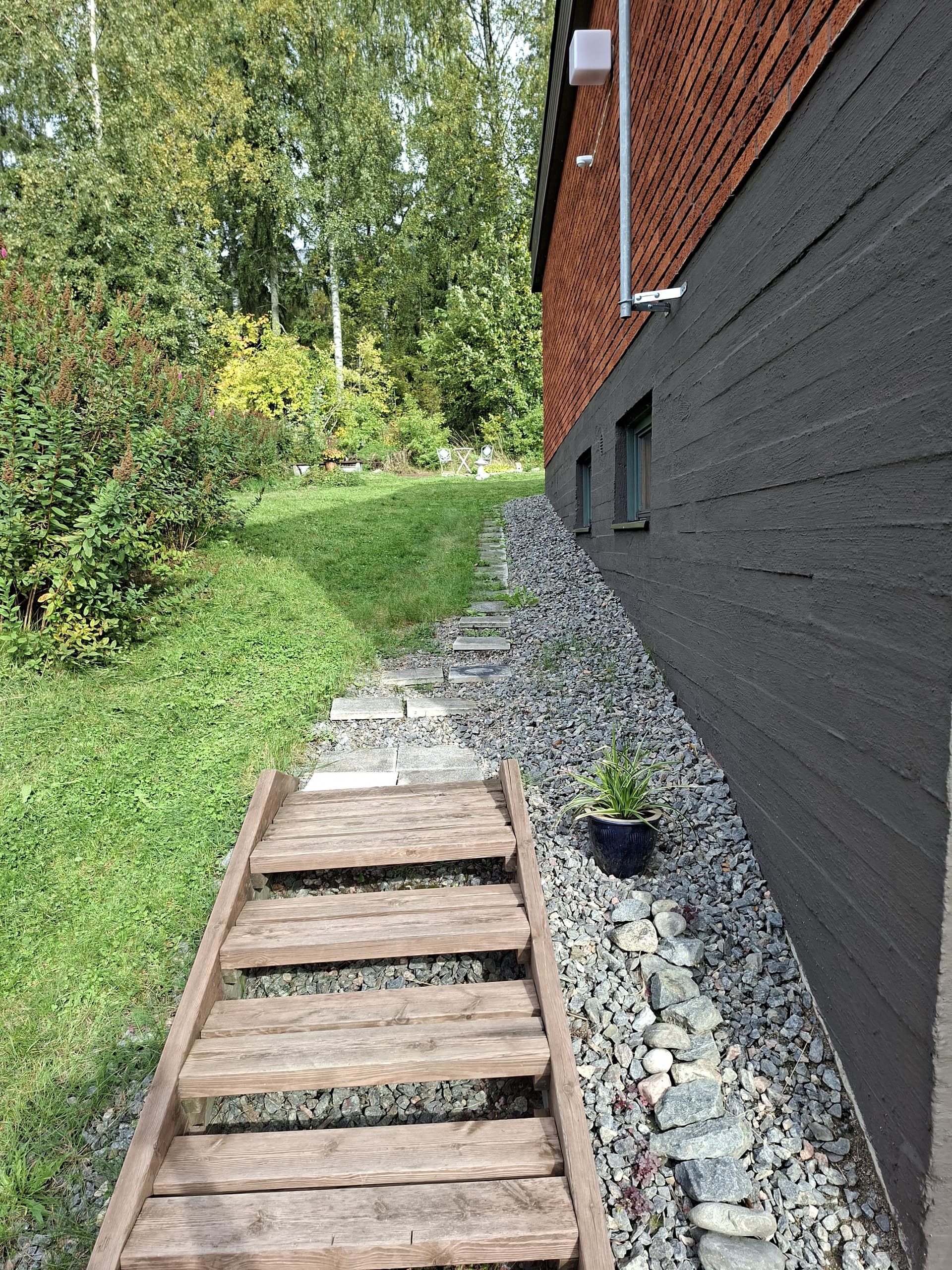 Kissalankuja i Vääksy