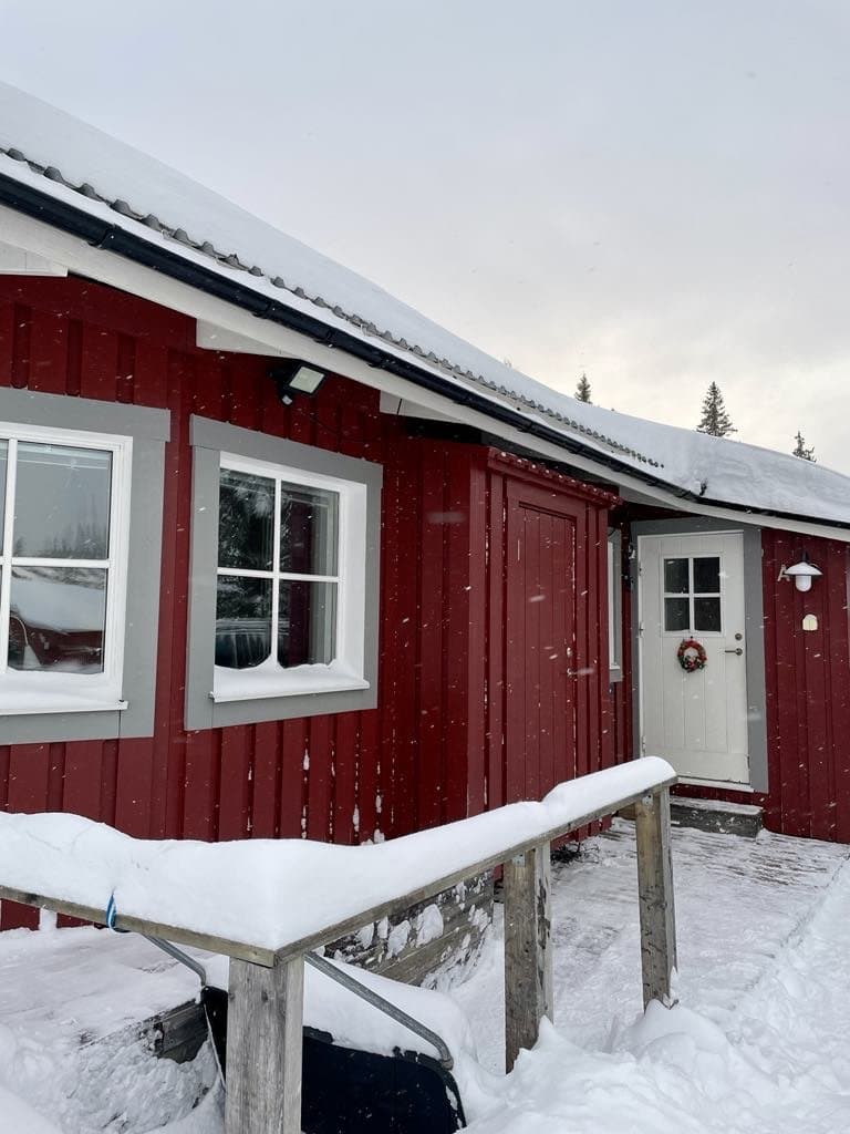 Järven Björnen i Åre