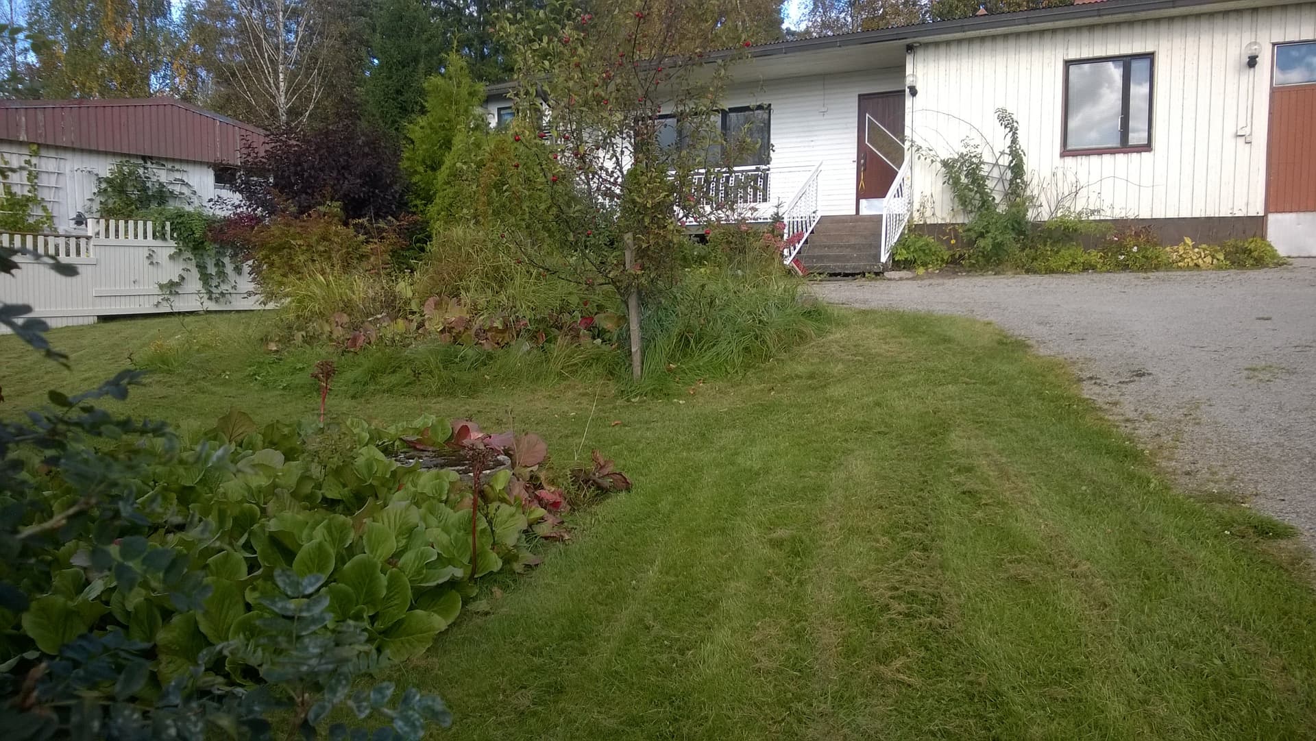 Koulutie i Salo