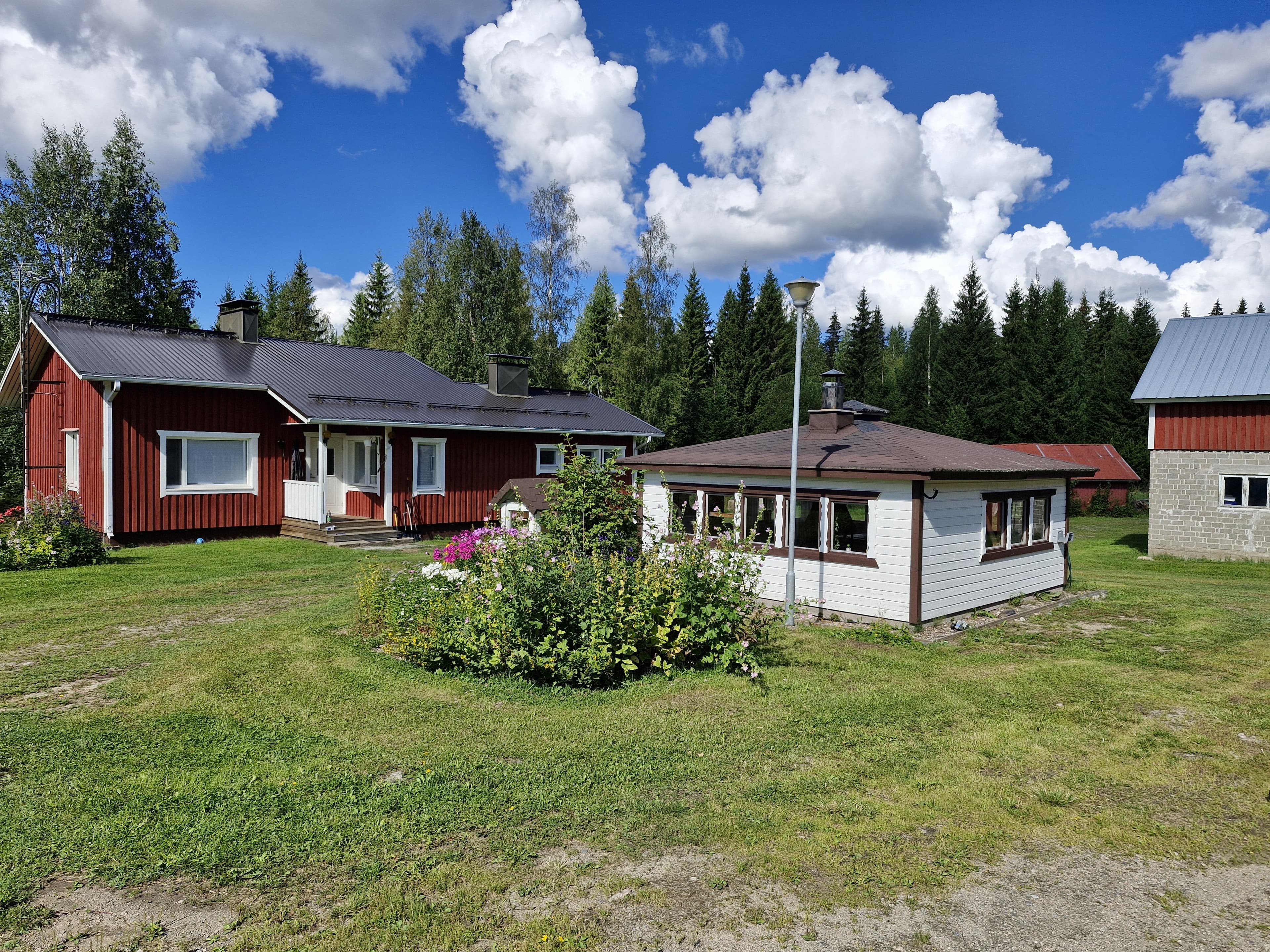 Haukivaarantie i Haukivaara