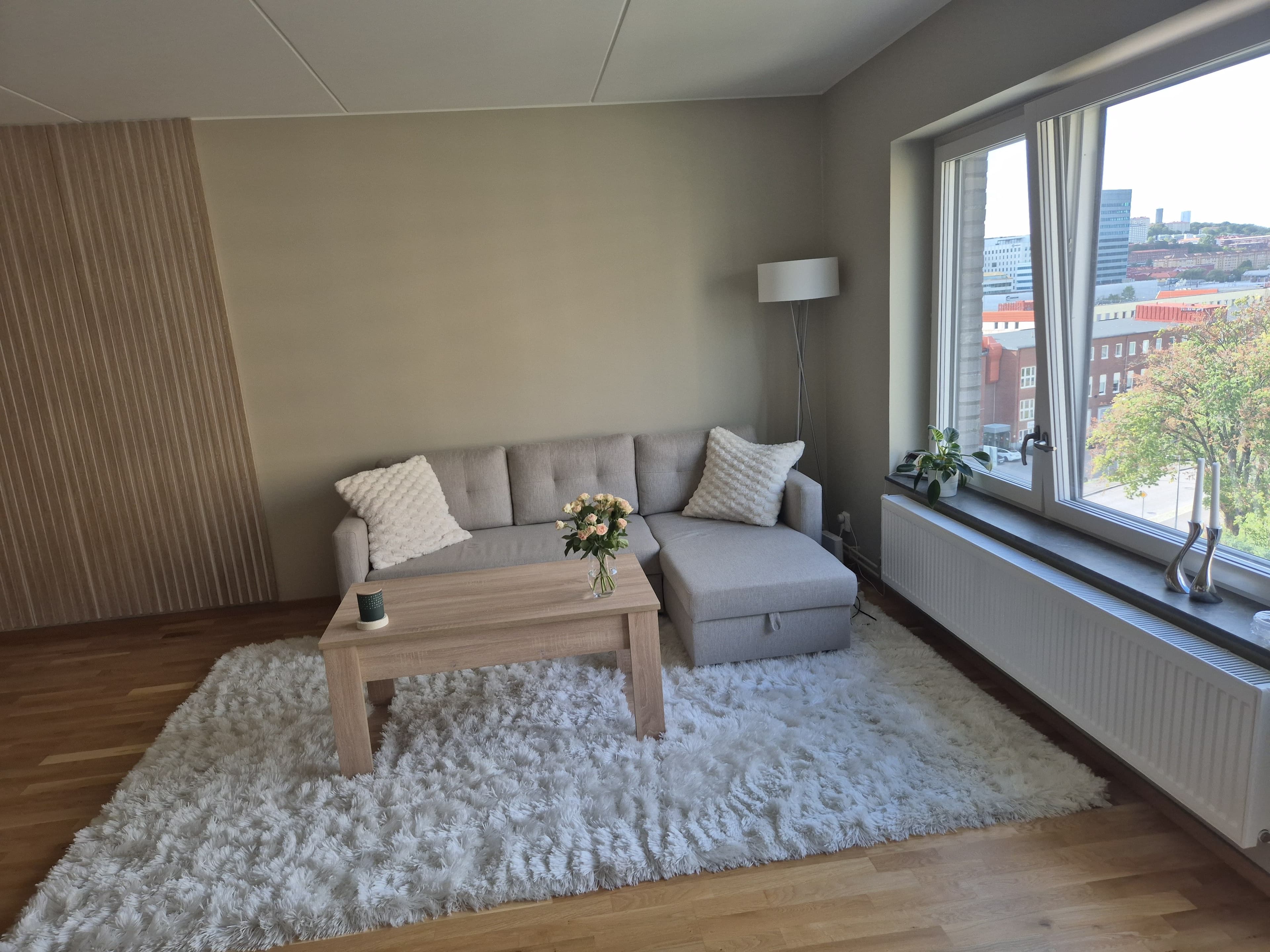 Skummjölksgatan i Göteborg