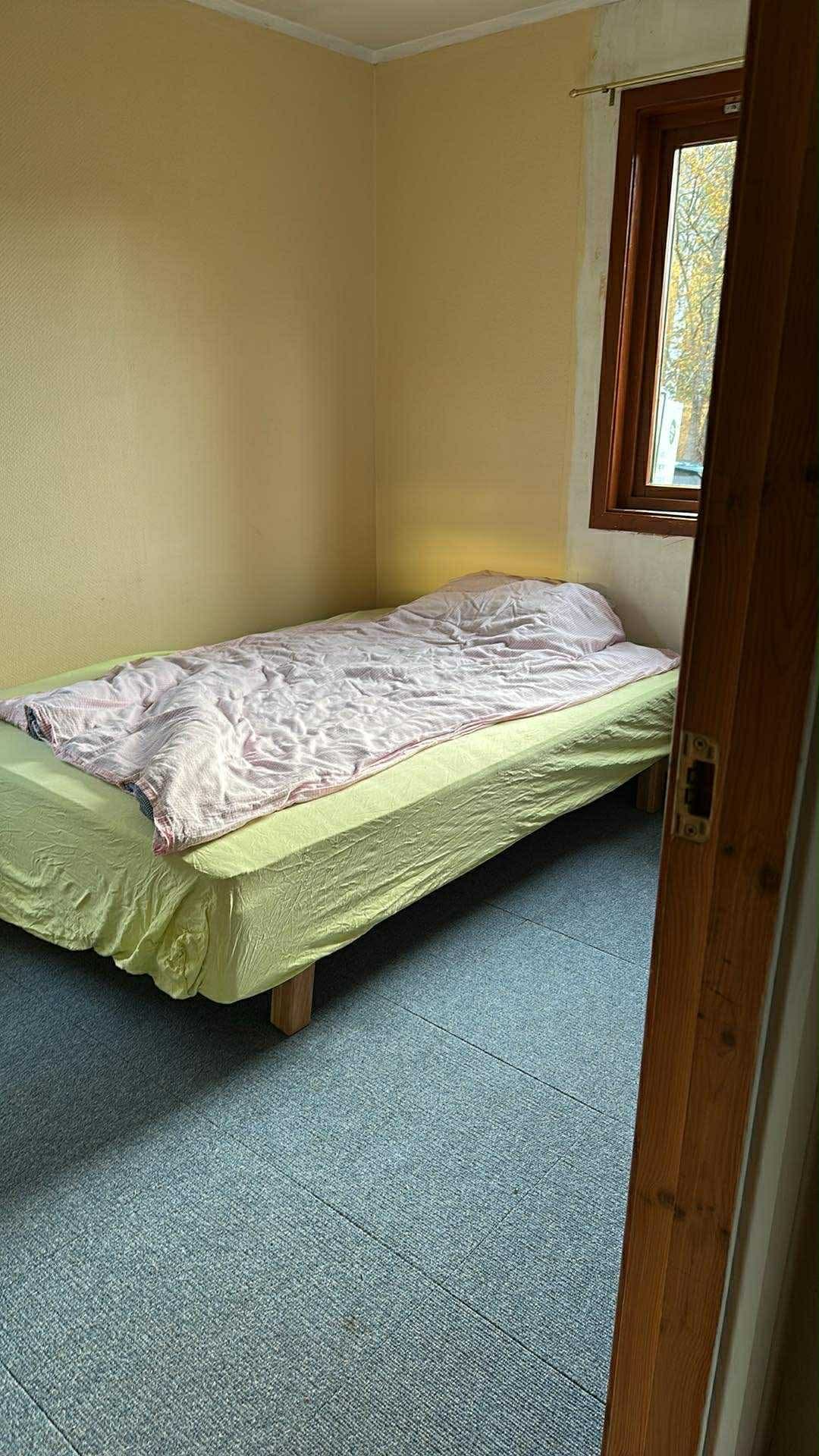 Østsideveien i Nes i Ådal