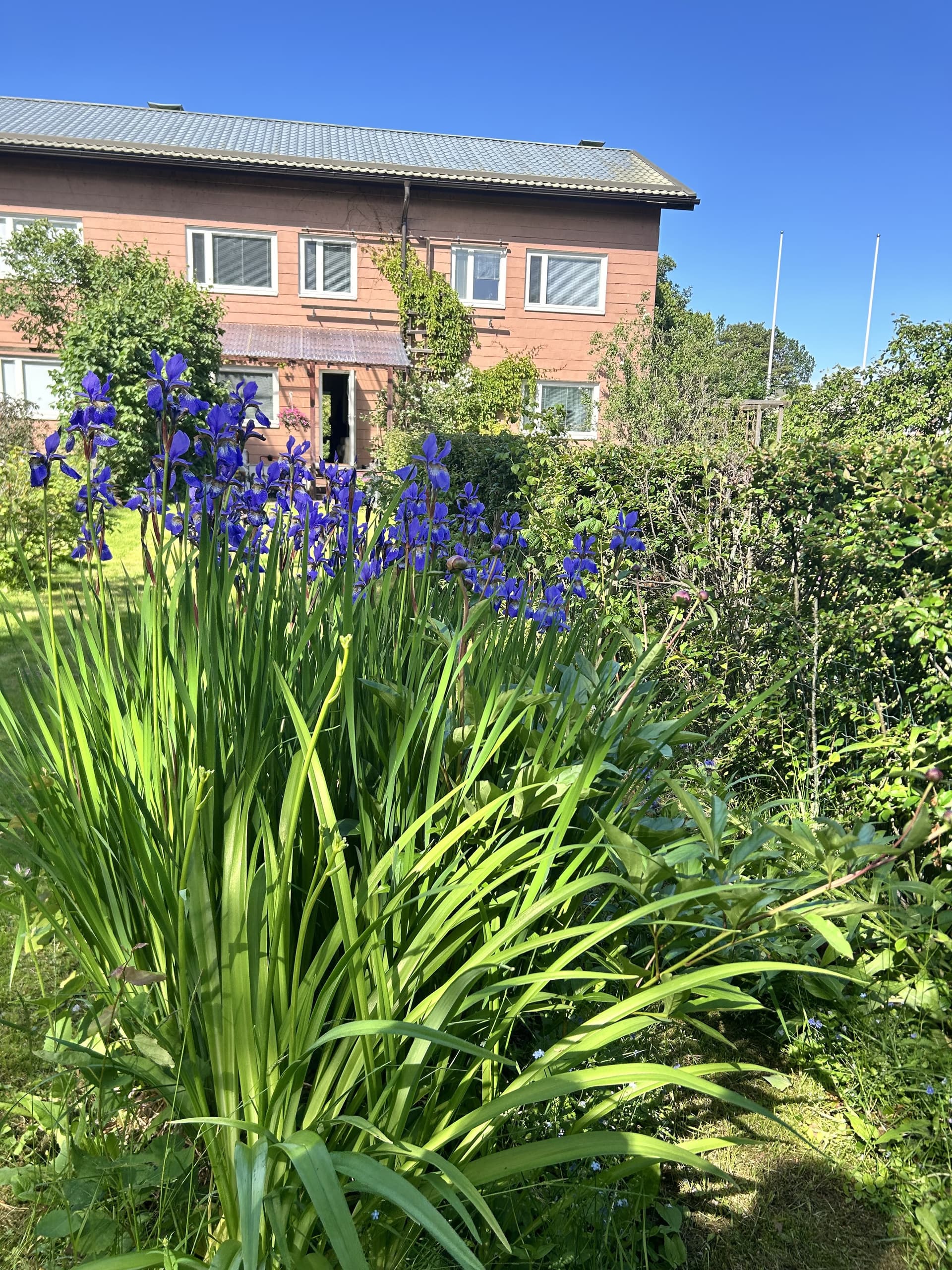 Vapuntie i Pori