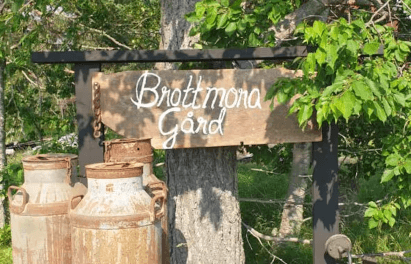 Brottmora i Riala