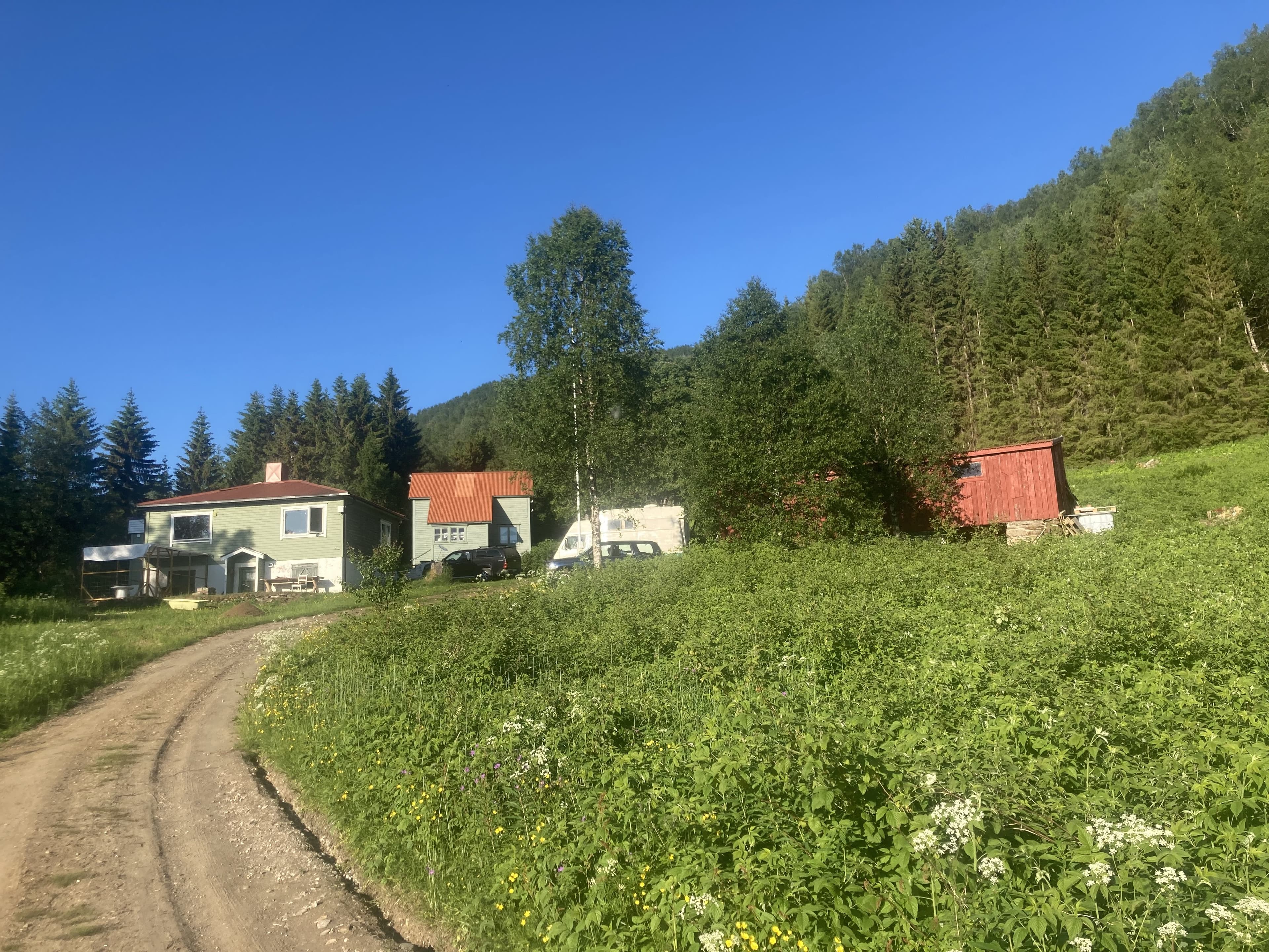 Vågdalsveien i Sørreisa