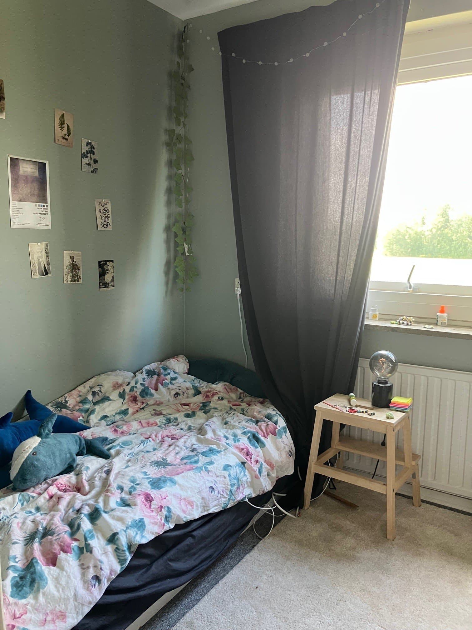 Vintervägen i Braås