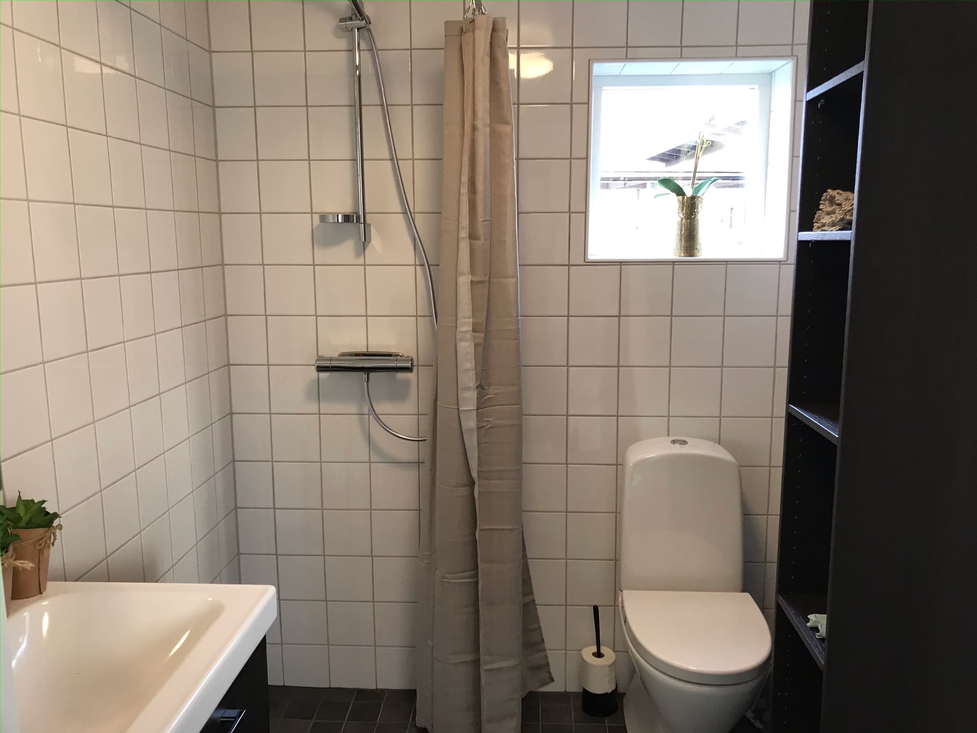 Rådjursvägen i Gotlands Tofta