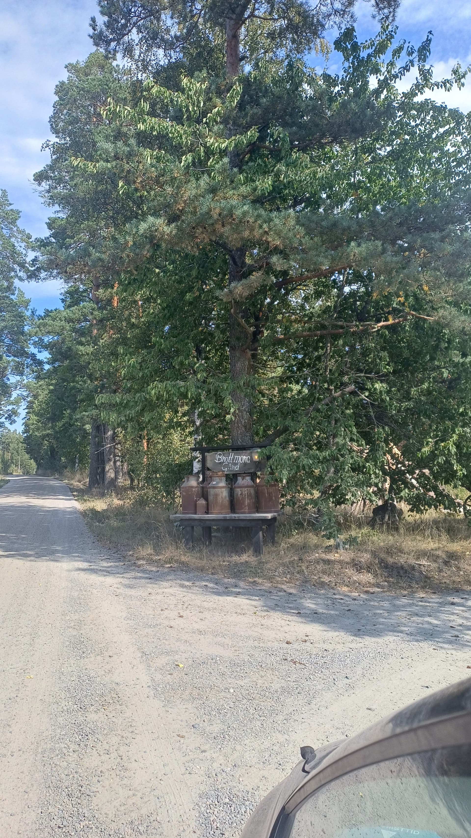 Brottmora i Riala