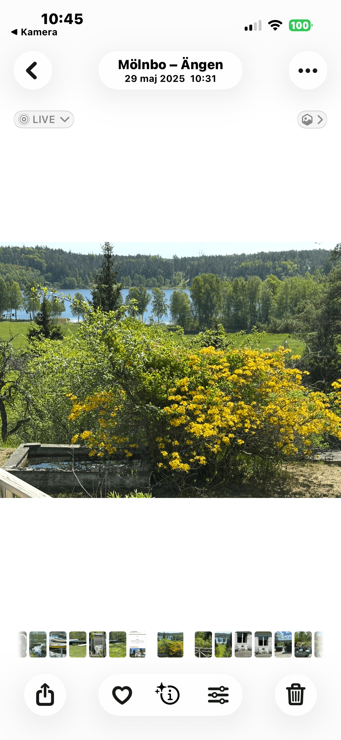 Ängen i Mölnbo