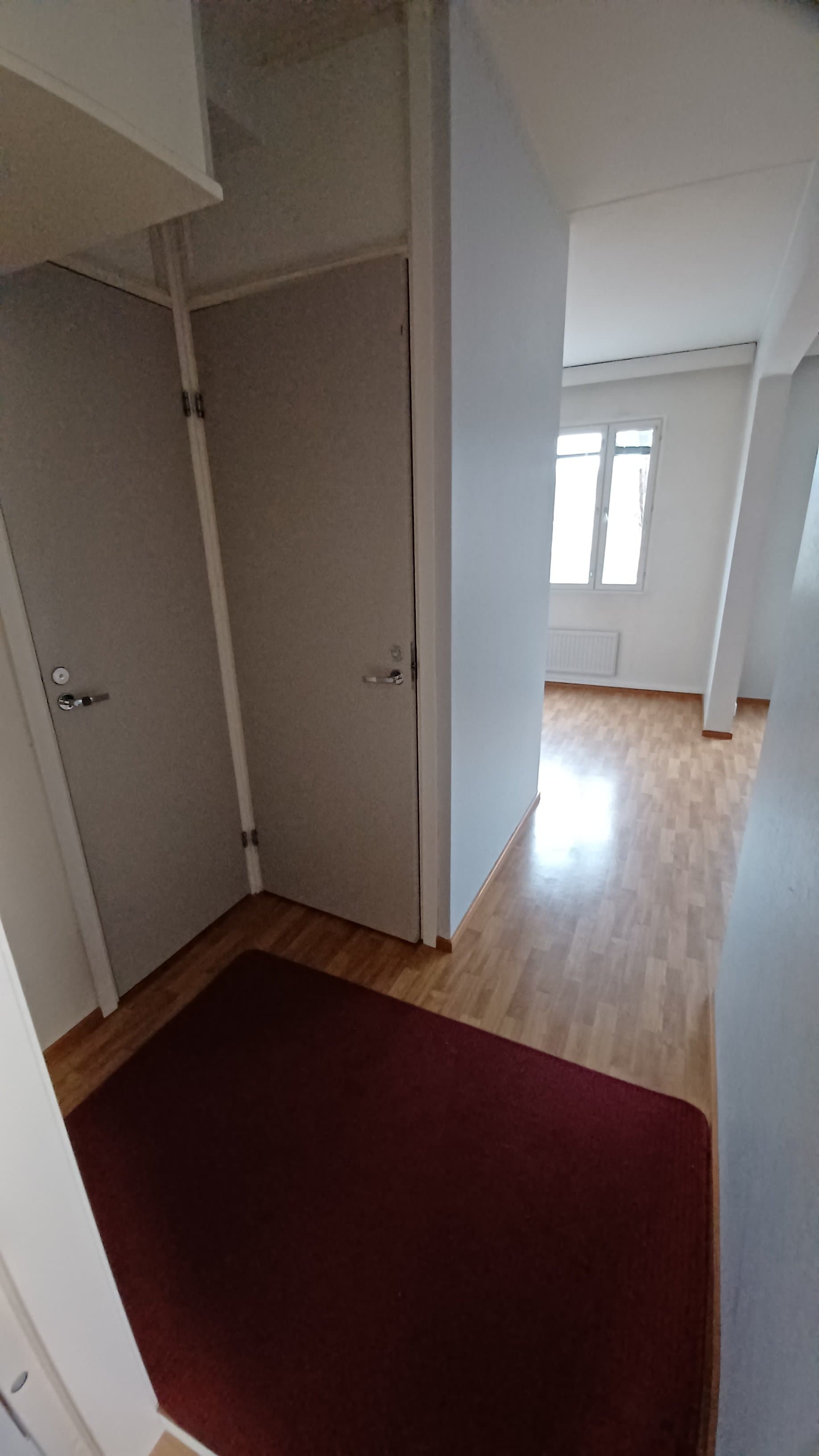 Keltasirkunpolku i Turku