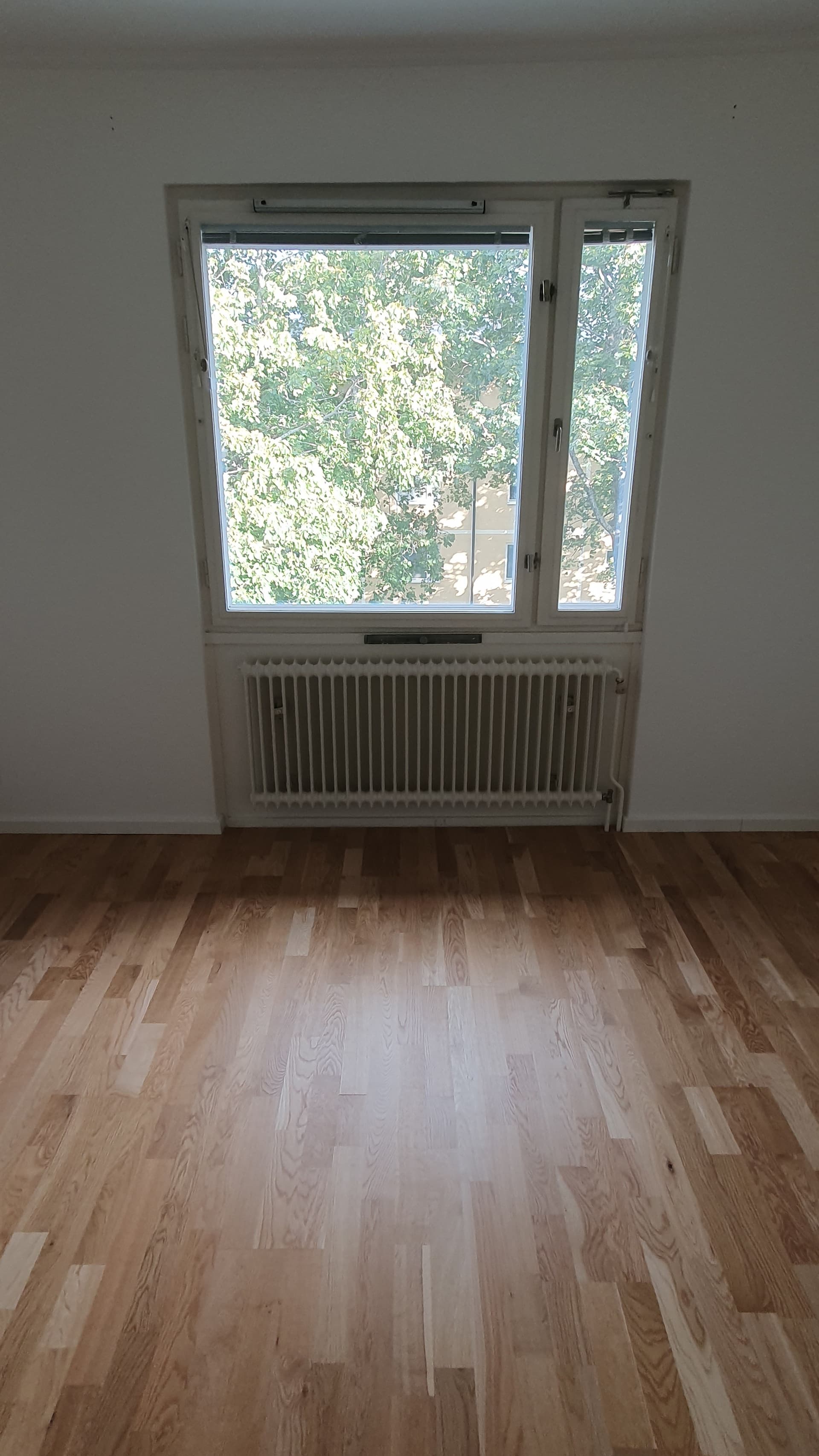 Trollesundsvägen i Bandhagen