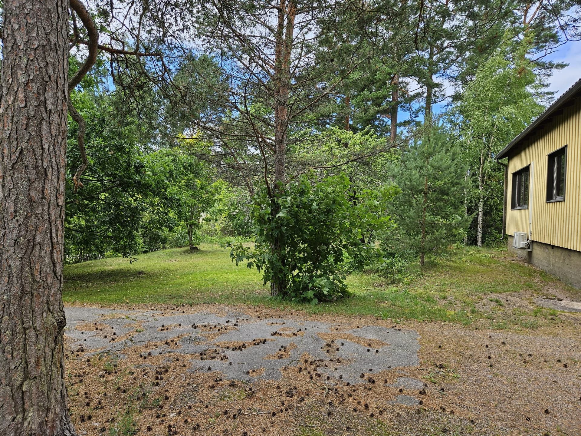 Muurainpolku i Kotka