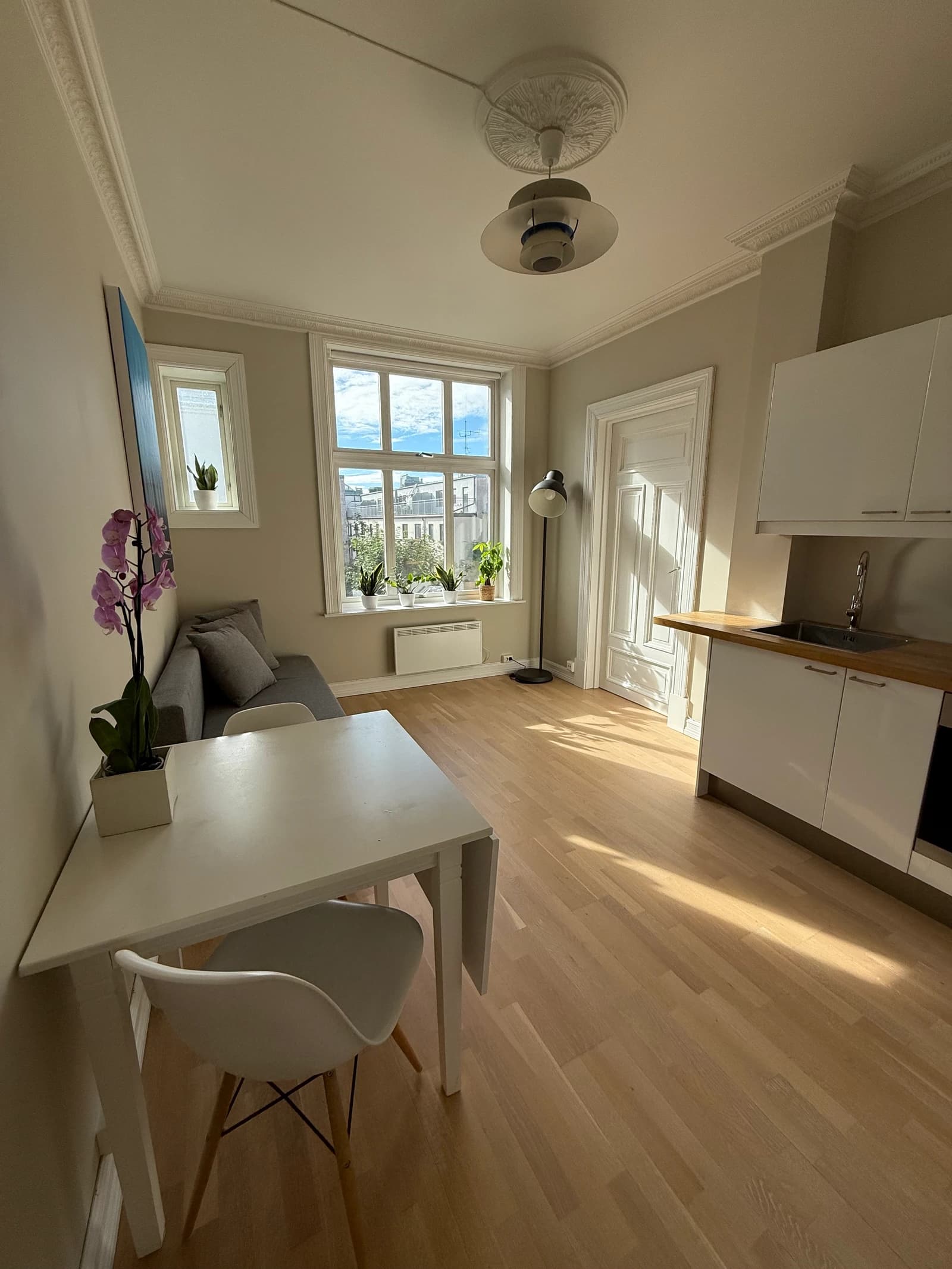 Sorgenfri gata i Oslo